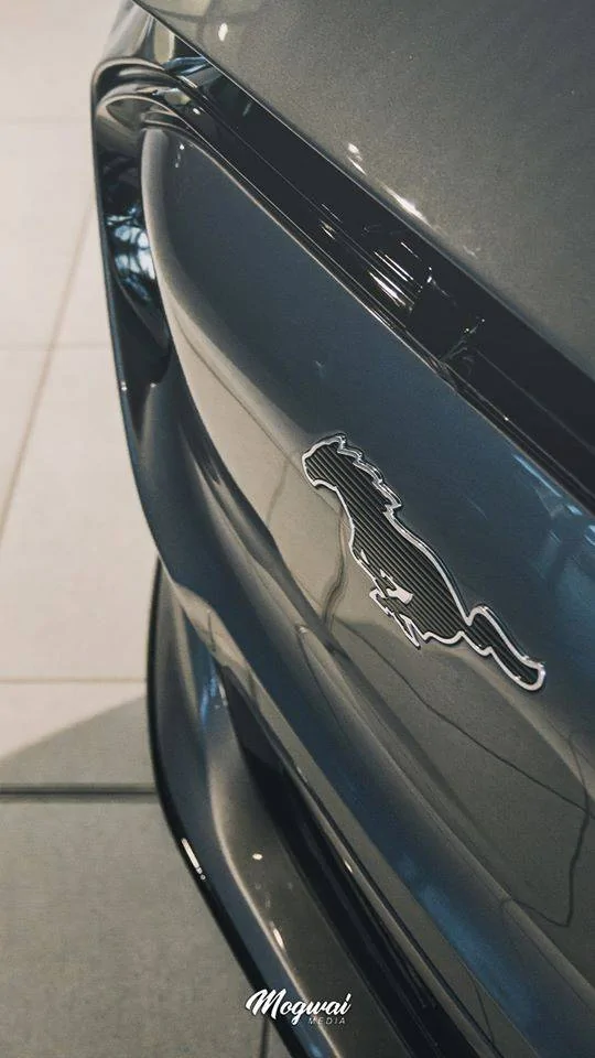Ford Mustang Mach-E CARBONIZED GRAY Mach-E Club ford-mustang-mach-e-europe-15-jpg