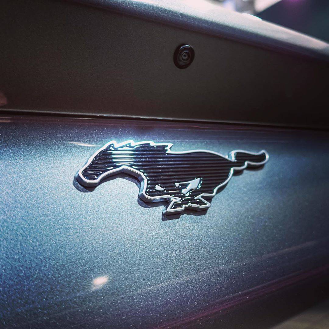 Ford Mustang Mach-E CARBONIZED GRAY Mach-E Club Carbonized Grey Mach-E 5