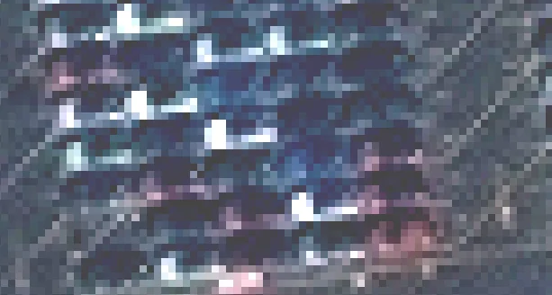 Ford Mustang Mach-E Satellite Photo of Mach-E Factory Taken 10 Dec 20.  Which one is yours? 1608320568530