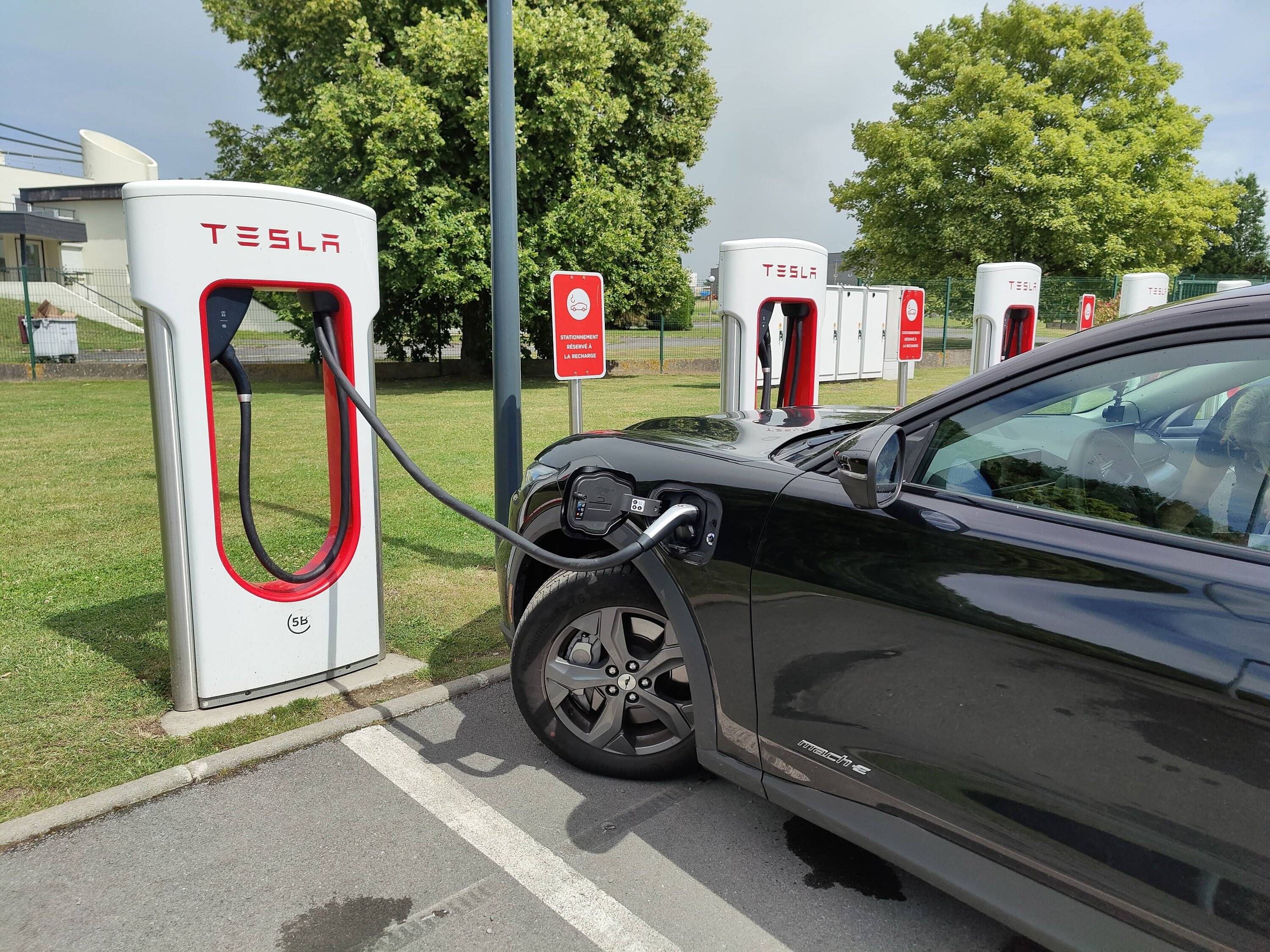 Ford Mustang Mach-E Mach-E to gain access to Tesla Superchargers! Get standard NACS port starting 2025! [⚠️ ADMIN WARNING: NO POLITICS / SOCIAL / MUSK COMMENTARY] EA48B9F0-8BF1-4266-8BF0-CAACCA221DF4