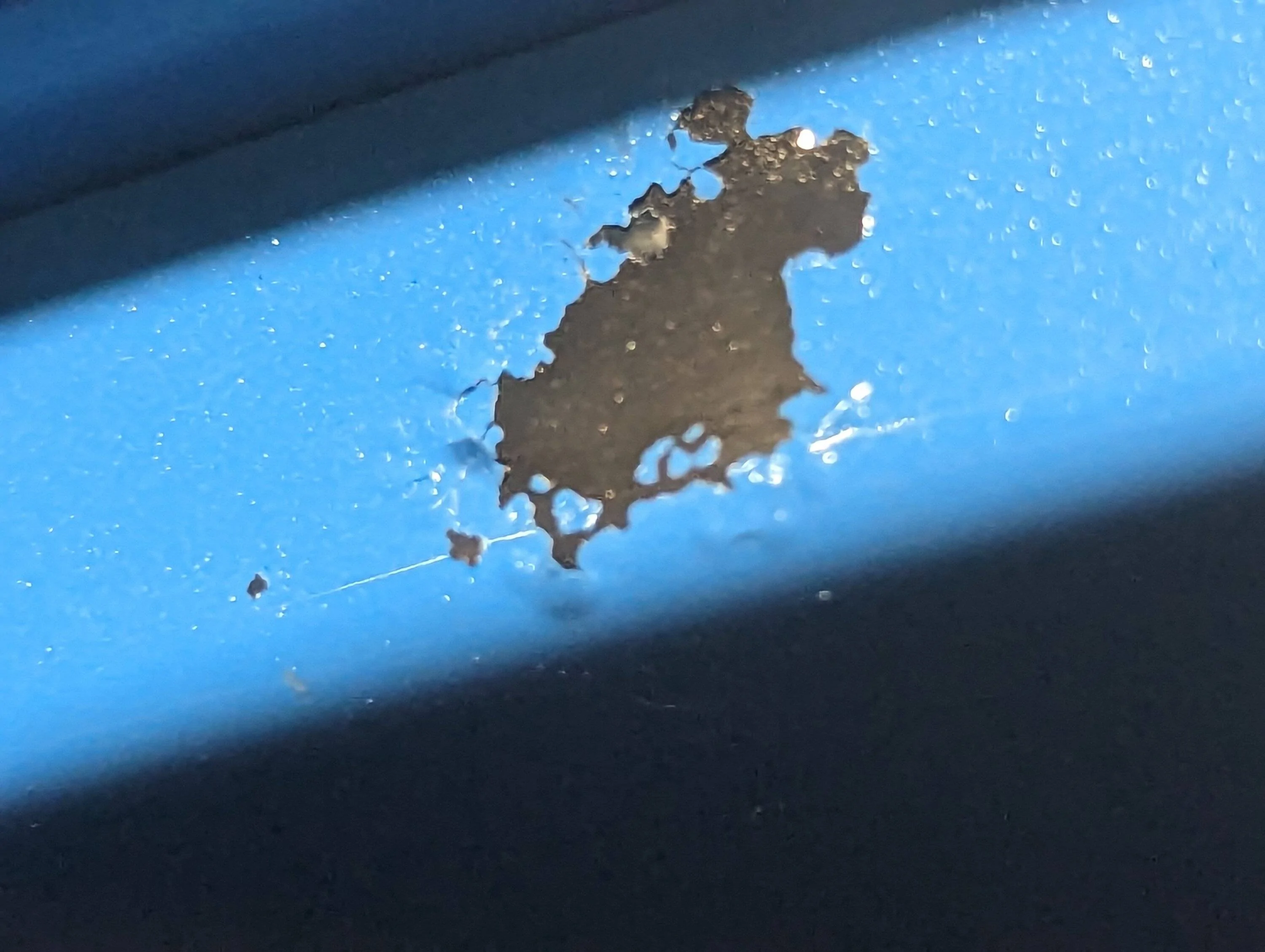Ford Mustang Mach-E Paint Issues on 2022 Mach e GT PXL_20230615_024903674