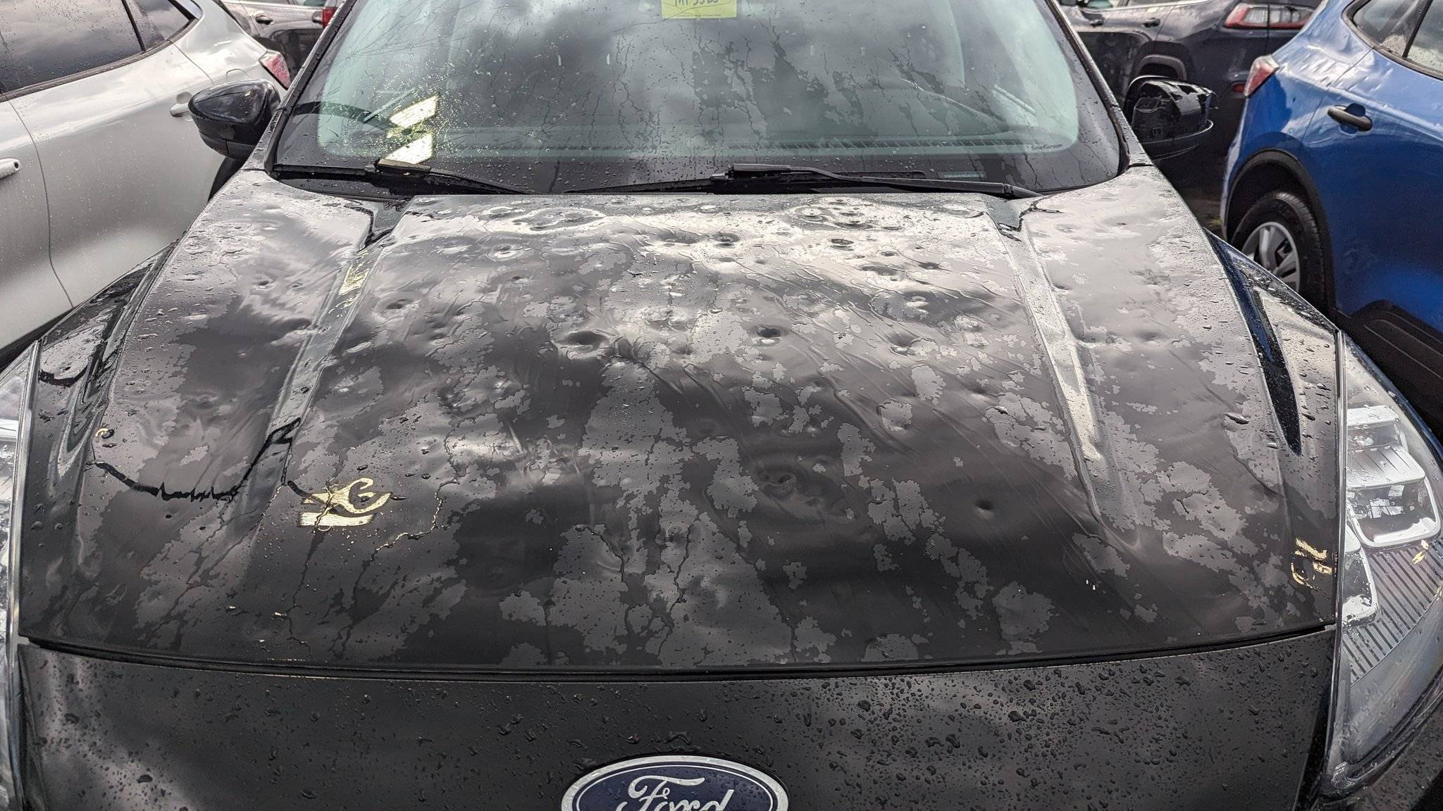 Ford Mustang Mach-E Glass roof proves tough in hail storm which damaged Mach-E body F1b_1dJWwAQa0bC