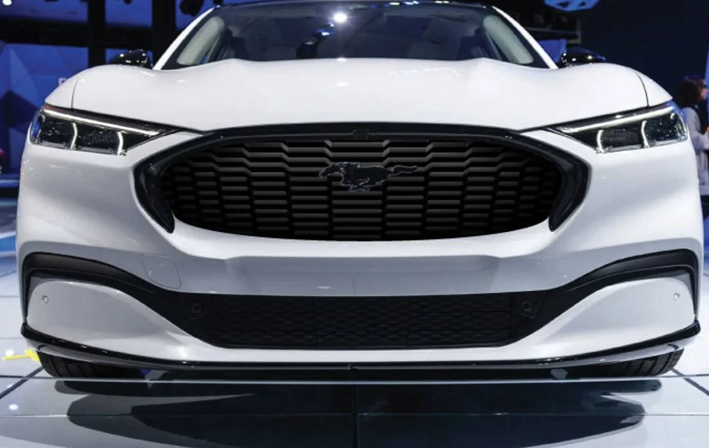 Ford Mustang Mach-E Grill wrap/overlay IMG_0662