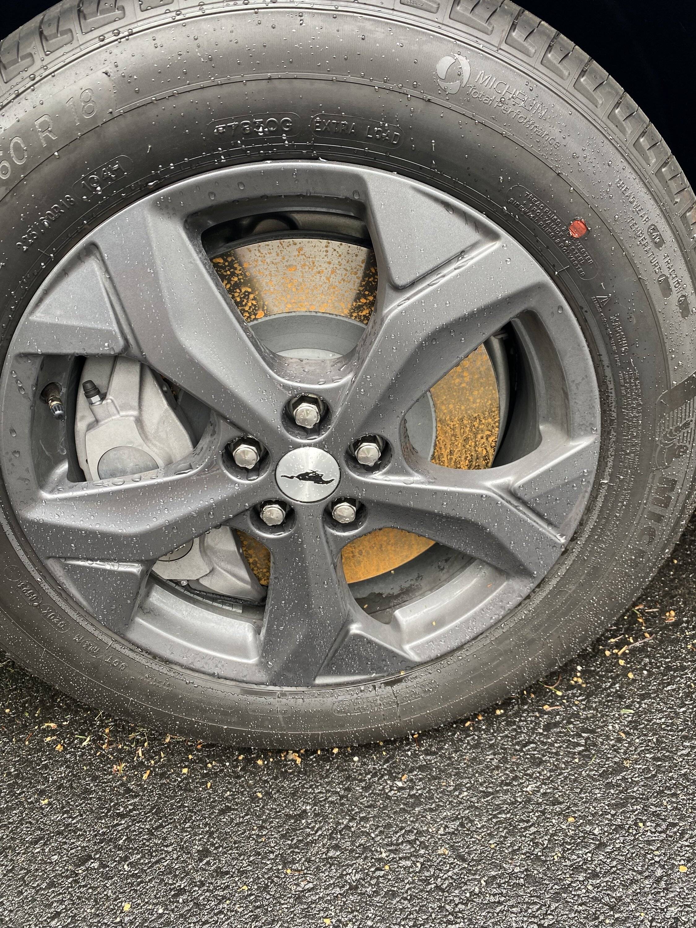 Ford Mustang Mach-E Name that fluid (on my wheel) image_67220225.JPG
