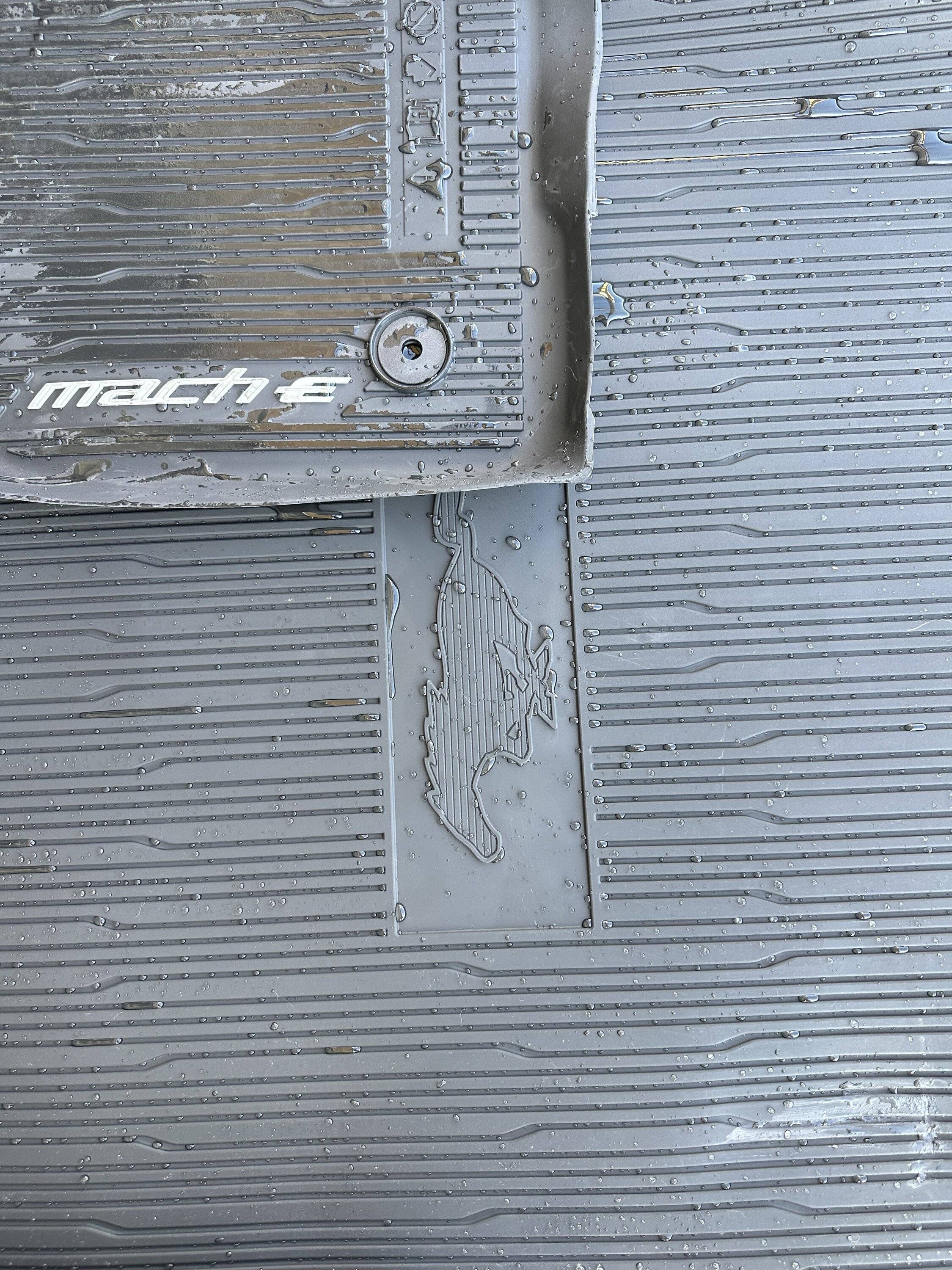 Ford Mustang Mach-E All weather floor mat set IMG_5174