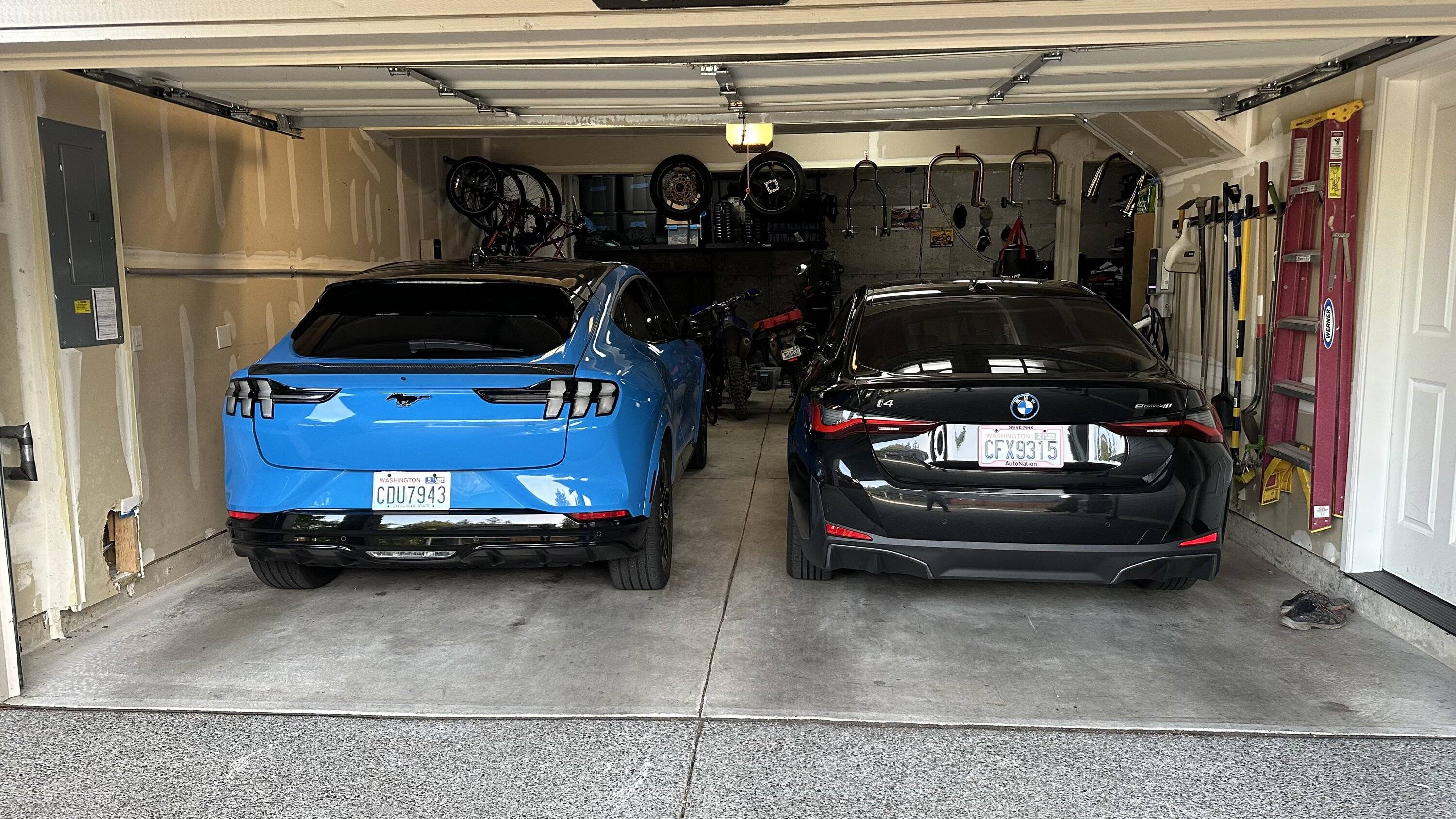 Ford Mustang Mach-E I can’t decide which one is cooler. 🤷🏻‍♂️ IMG_1772