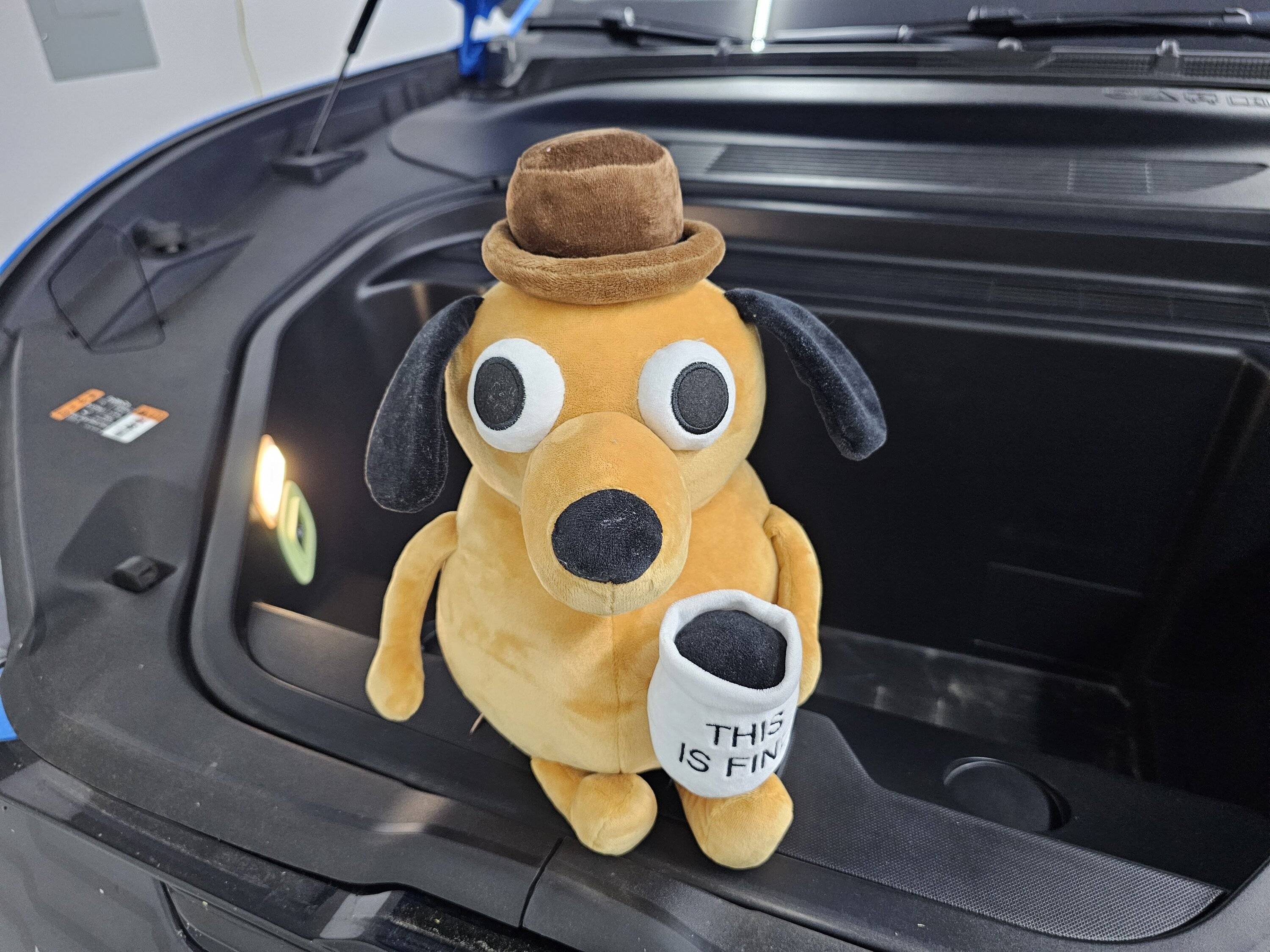 Ford Mustang Mach-E Dogs & Pets in Your Mach-E (Photo Edition) 1000005192