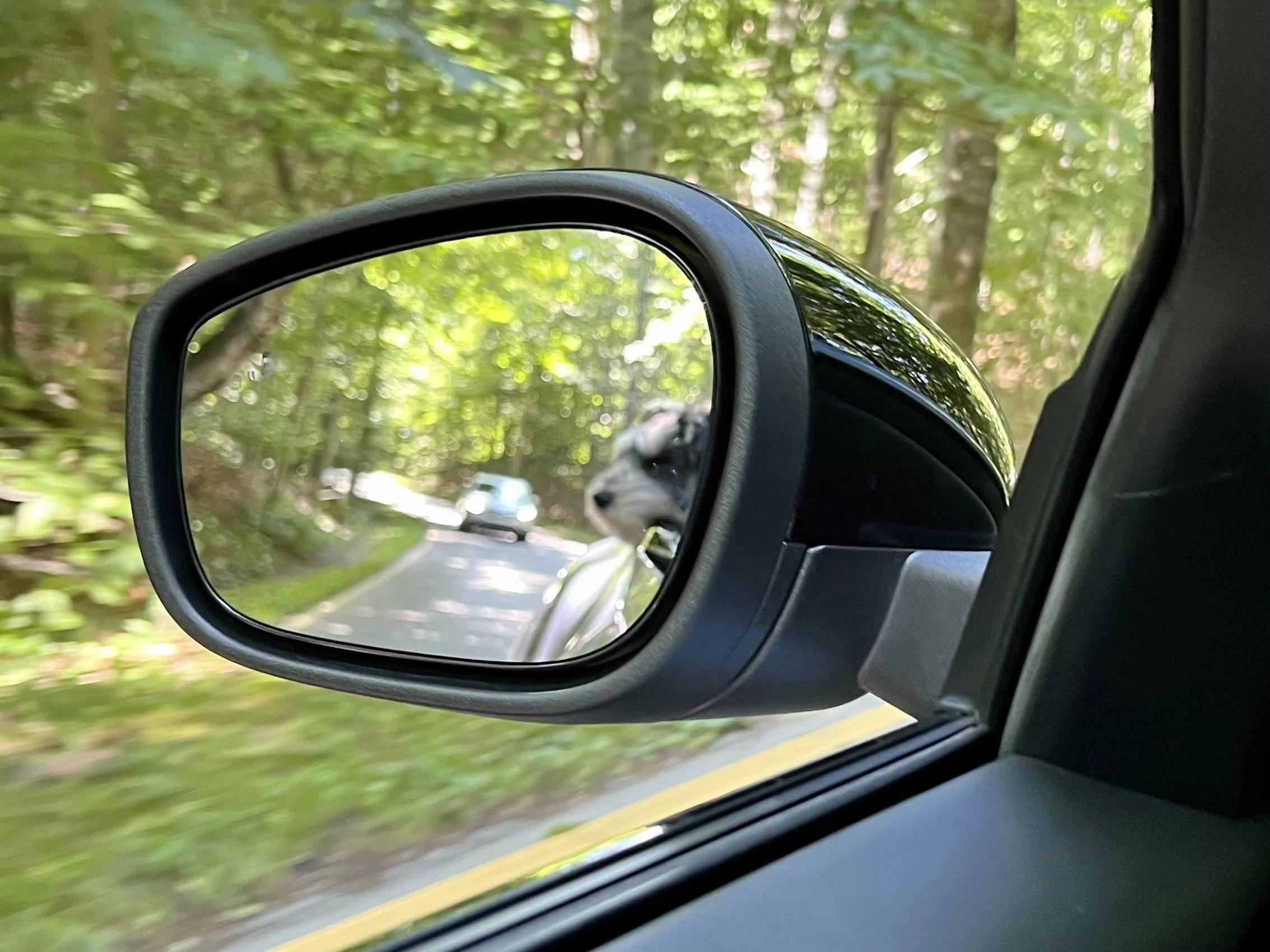 Ford Mustang Mach-E Mach-E flawlessly circles Lake Michigan w/ 2 tweens & a puppy IMG_2309
