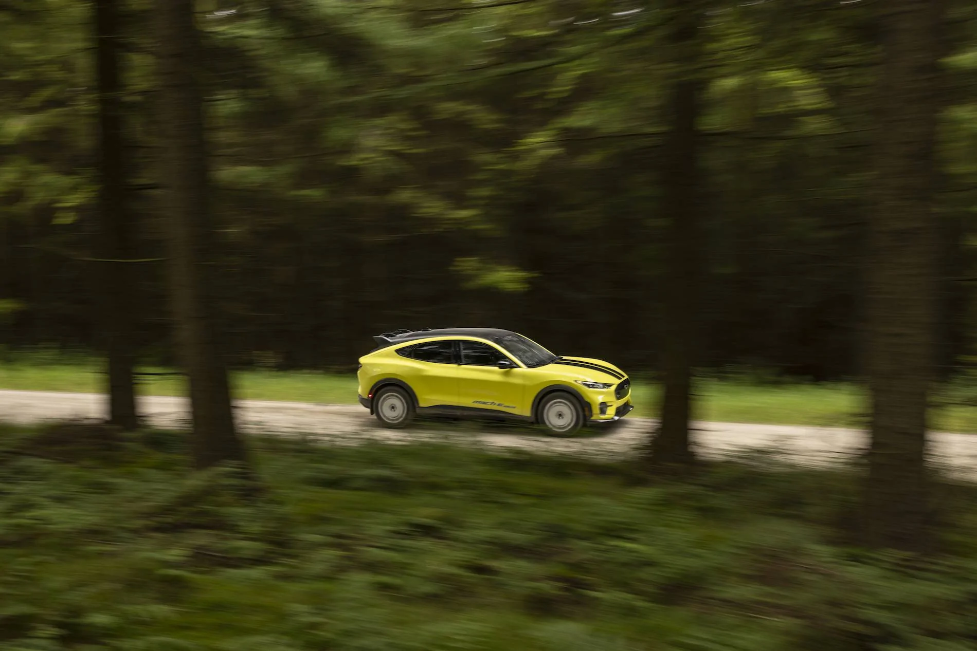 All-Electric Mustang Mach-E Rally_15.webp