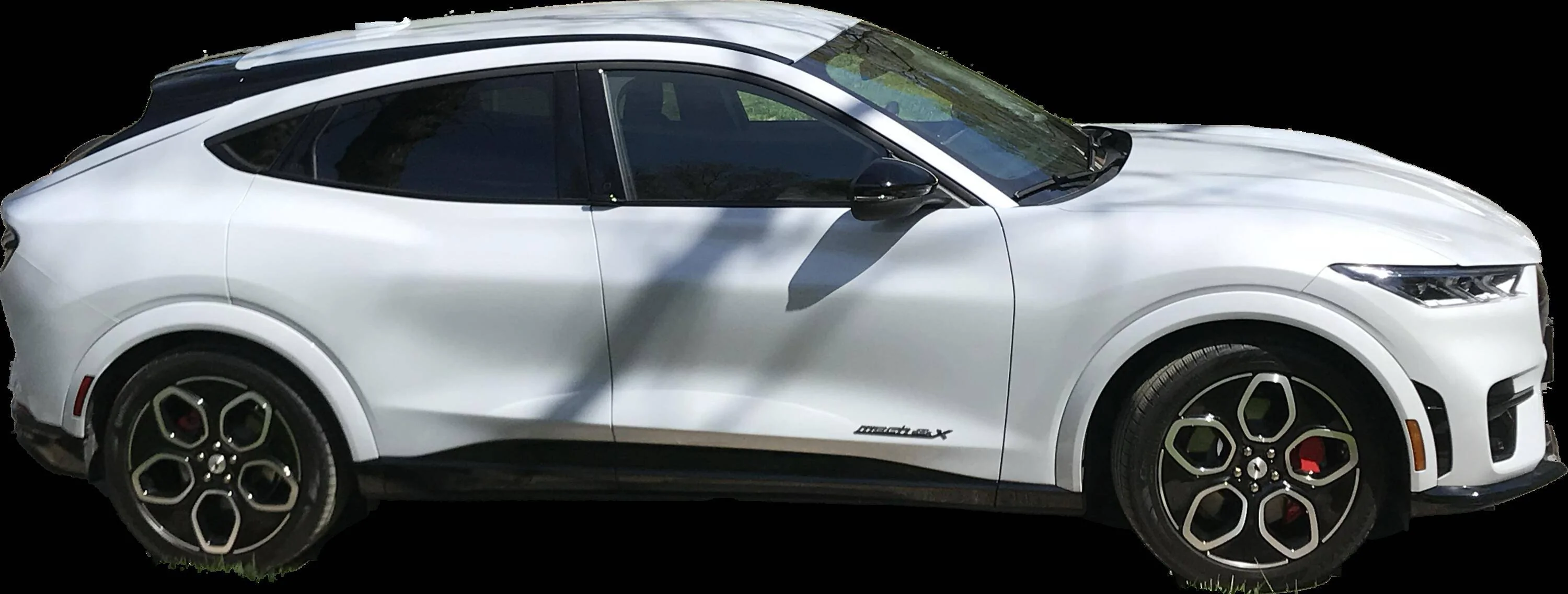 Ford Mustang Mach-E Side decal 1695052599897