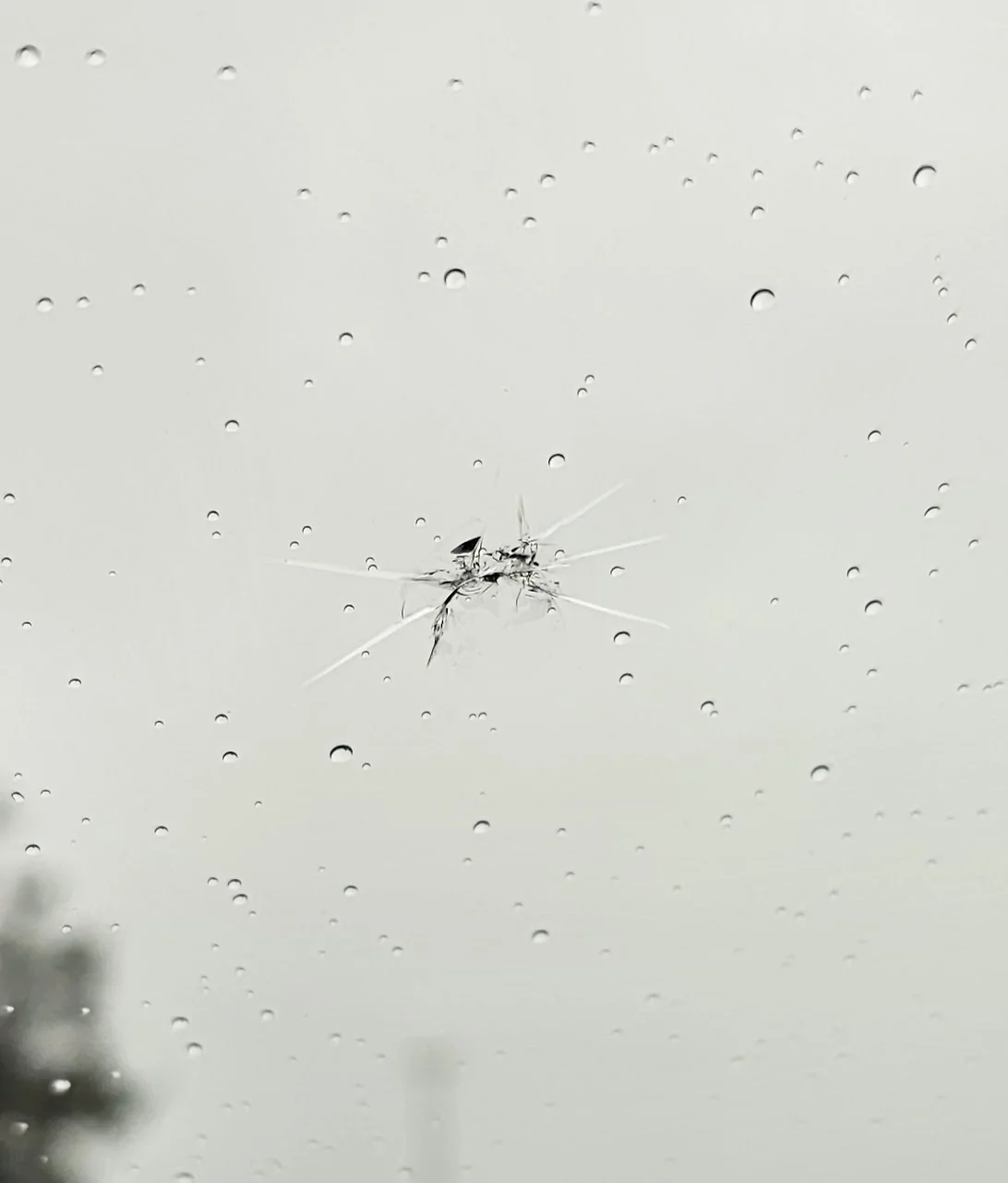 Ford Mustang Mach-E I5 Strikes again, rock hit my windshield 1695853206554