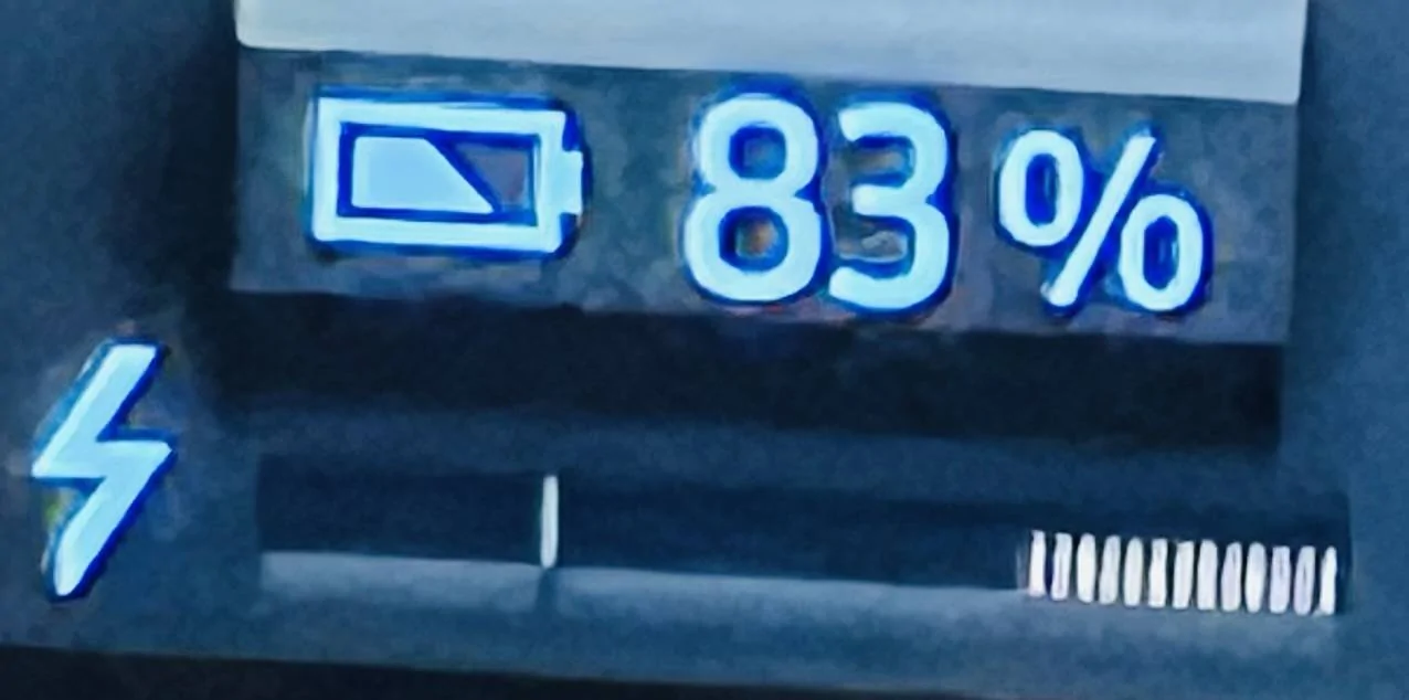 Ford Mustang Mach-E MachE GT/GTPE Performance Limiters Explained IMG_4014