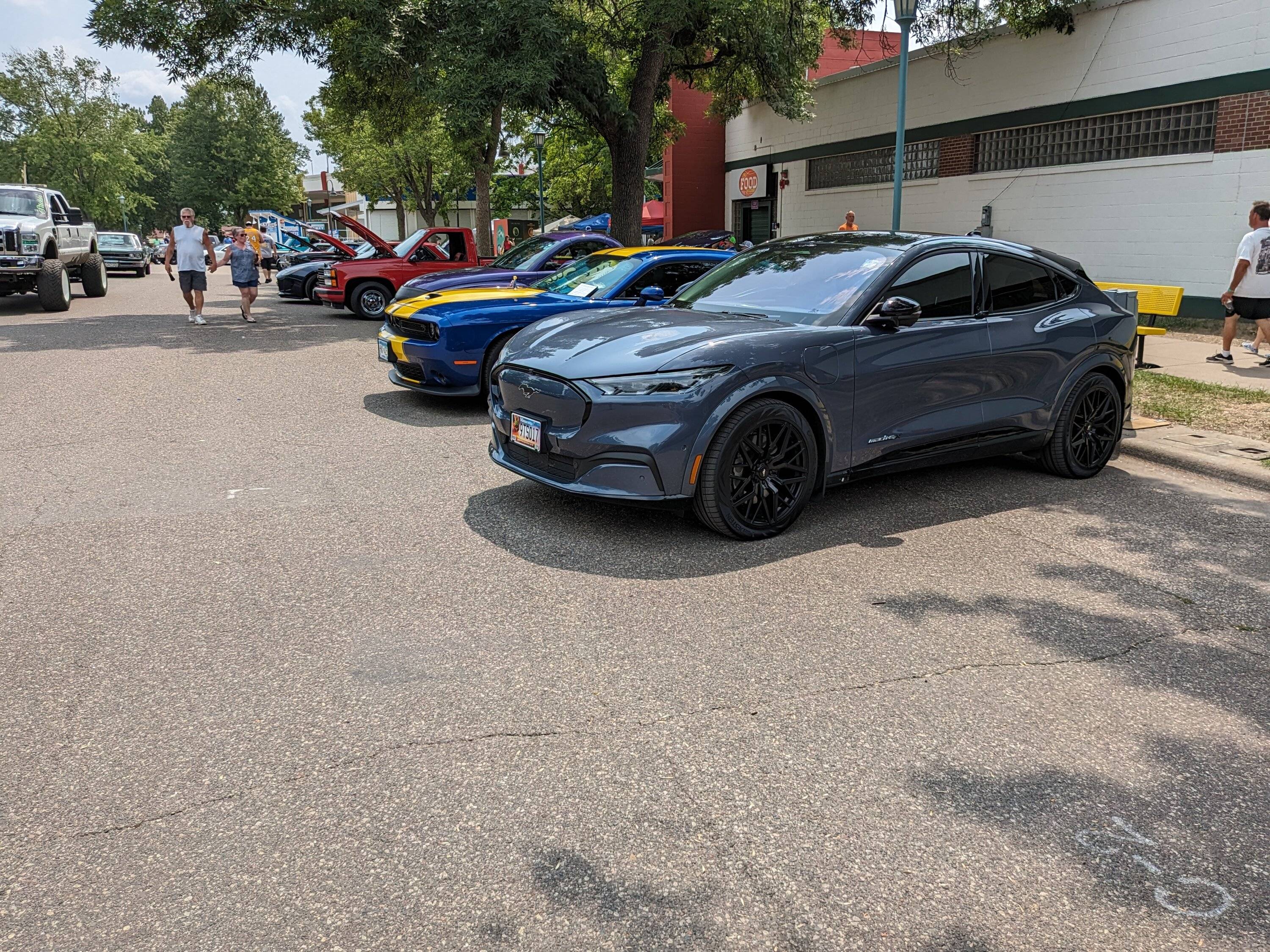 Ford Mustang Mach-E Will 255/50/19s fit? 1000001758