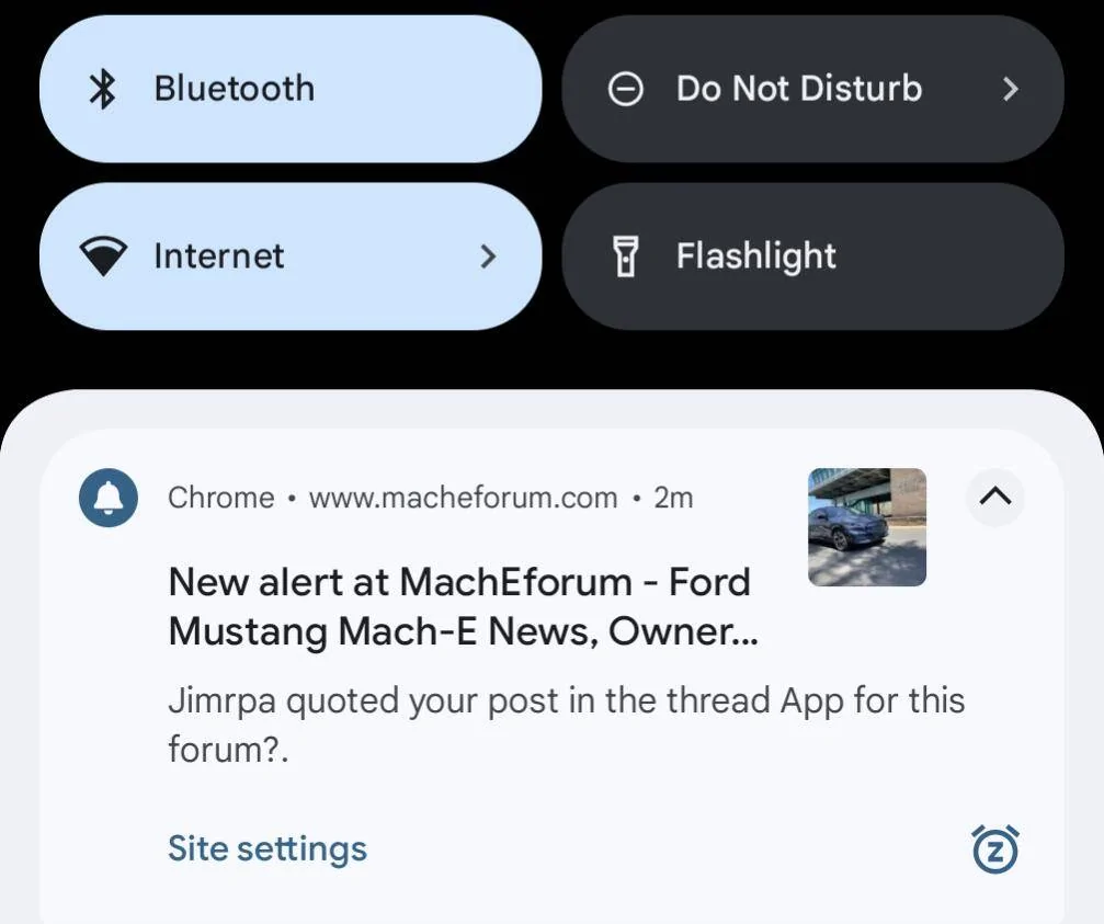 Ford Mustang Mach-E App for this forum? signal-2023-10-25-125517_002