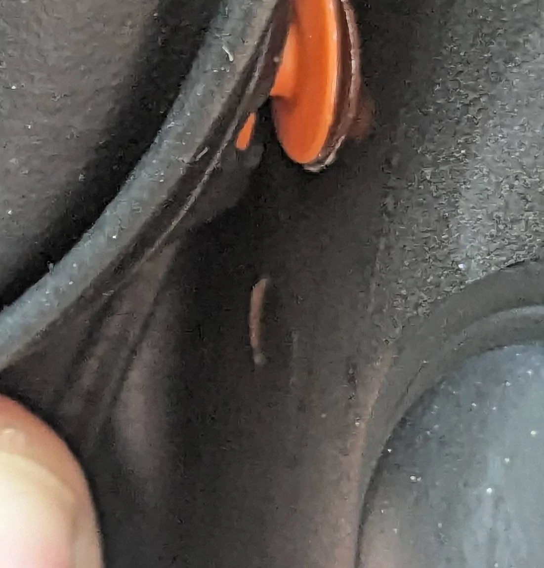 Ford Mustang Mach-E Cracking In Frame of Driver Side Door 1000004369