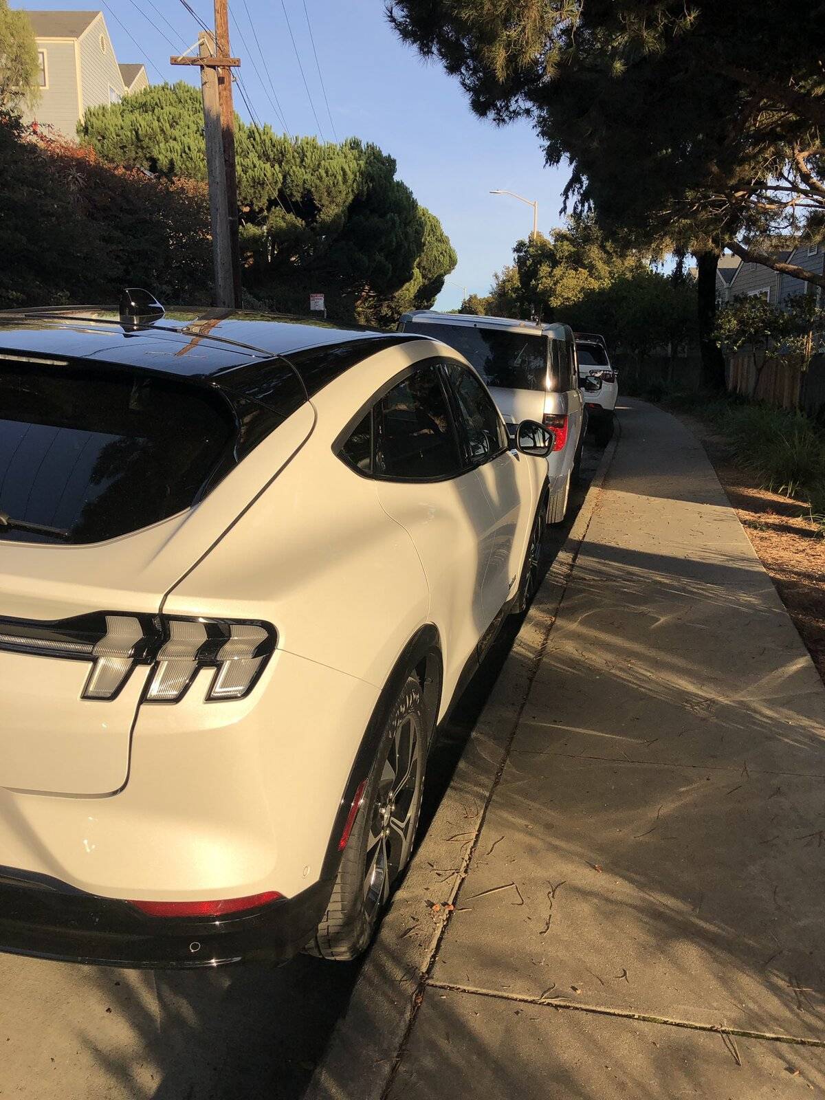 Ford Mustang Mach-E MME Active Park Assist in Action 09727CB2-AA72-47F3-8D55-24FC77020C37