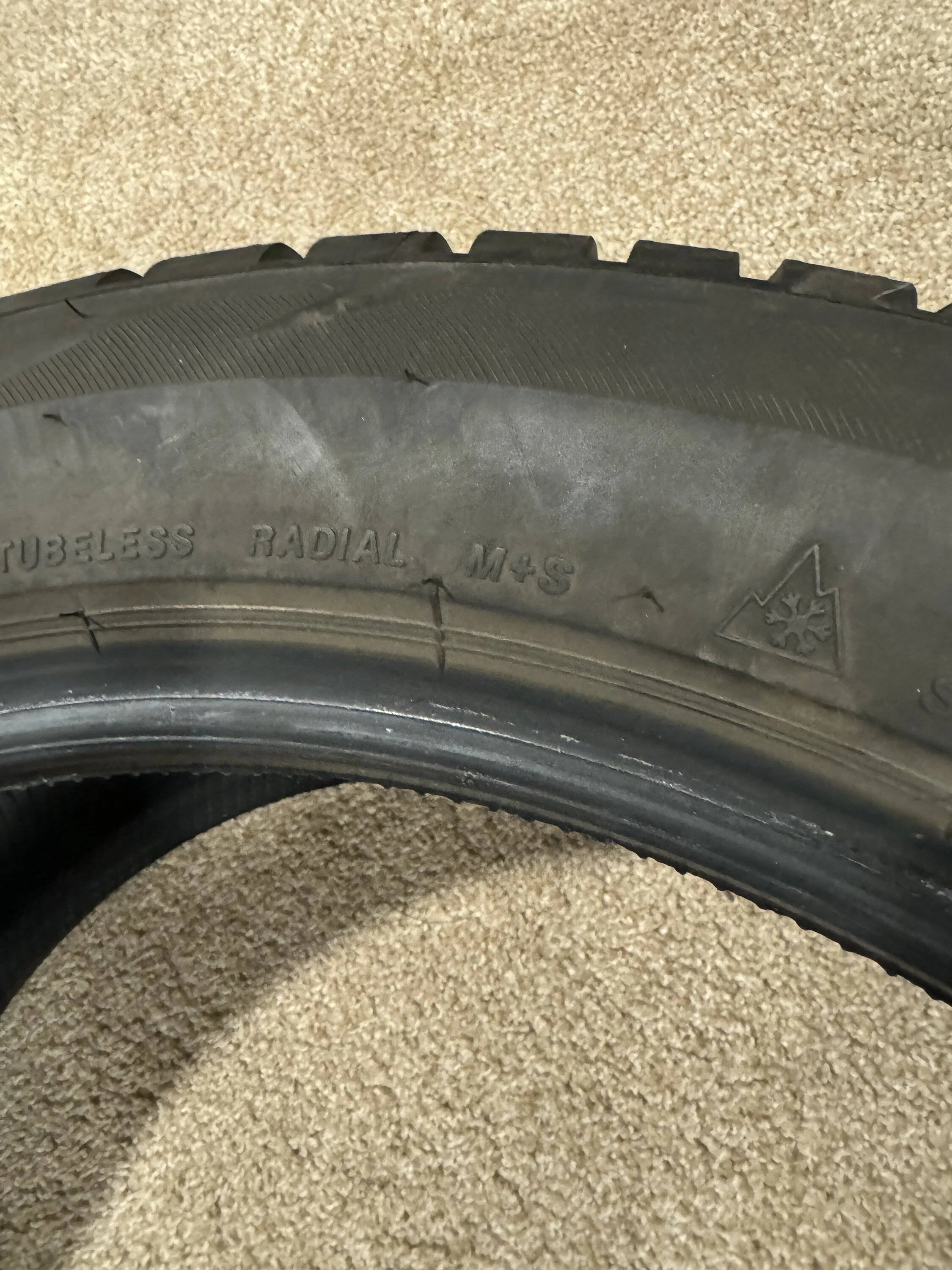 Ford Mustang Mach-E SOLD—- Bridgestone Blizzak LM001 winter tires SW michigan IMG_6234