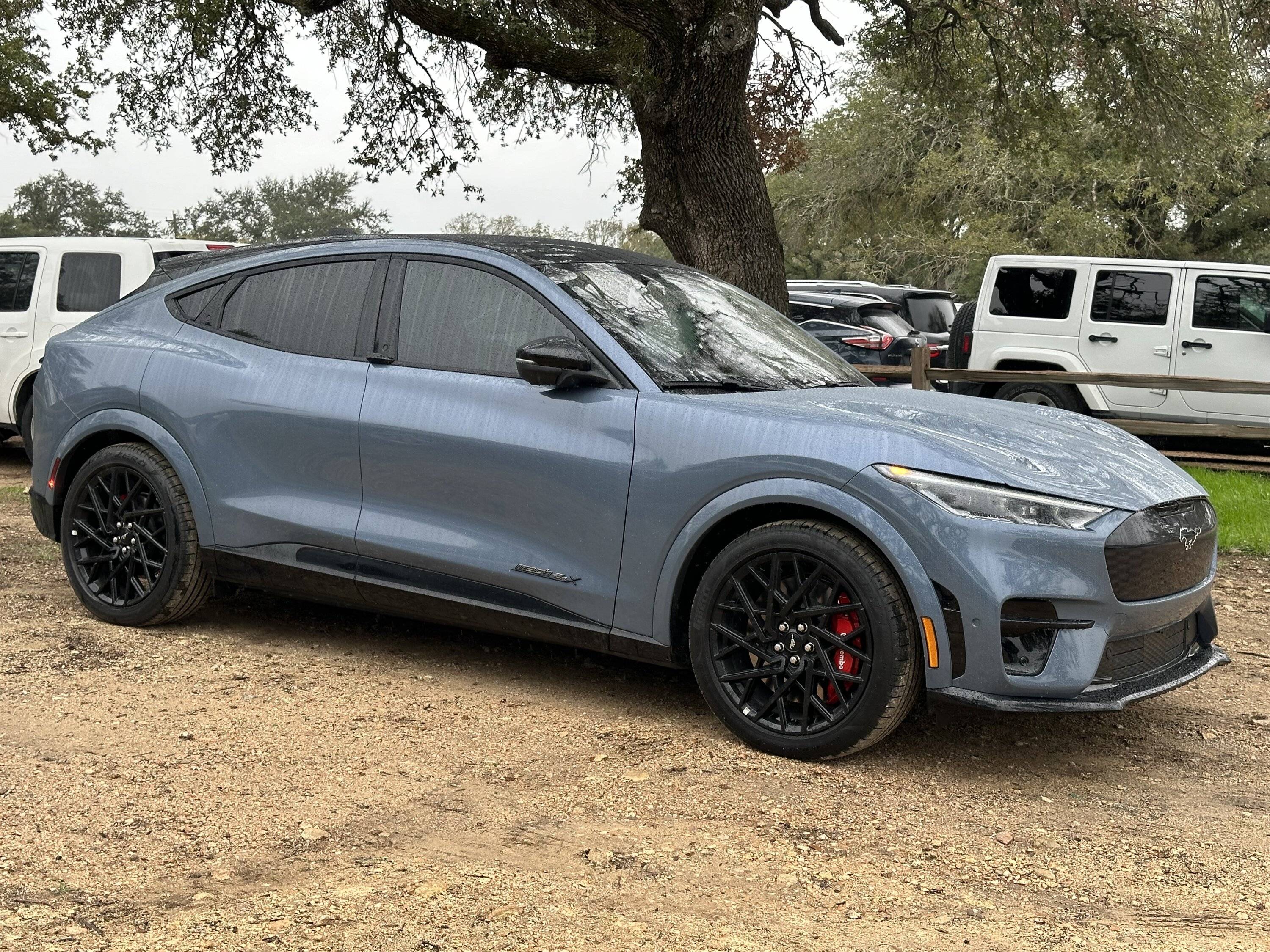 IMG_2641.jpeg