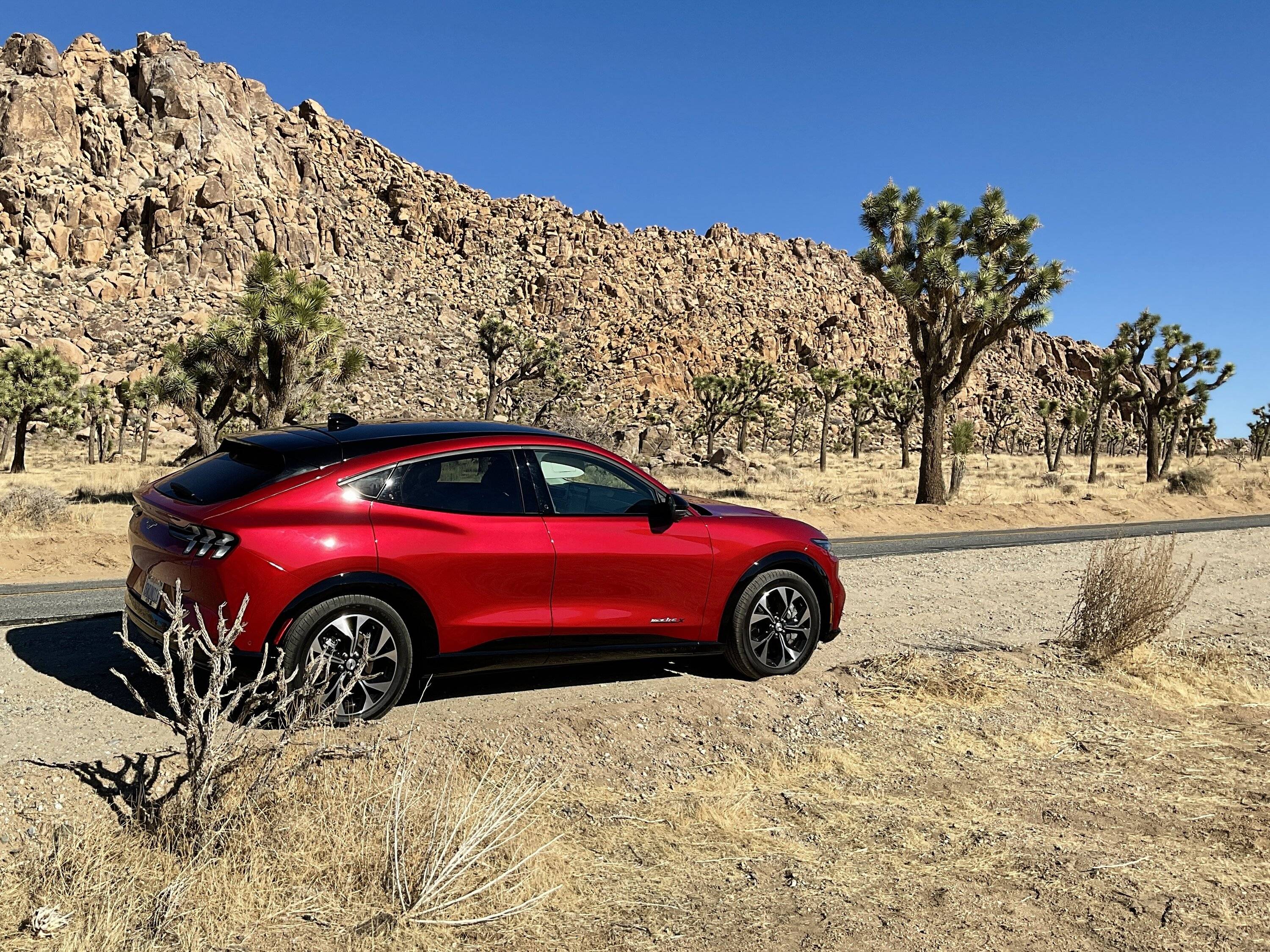 Ford Mustang Mach-E Joshua Tree Mach-E 1700676958627