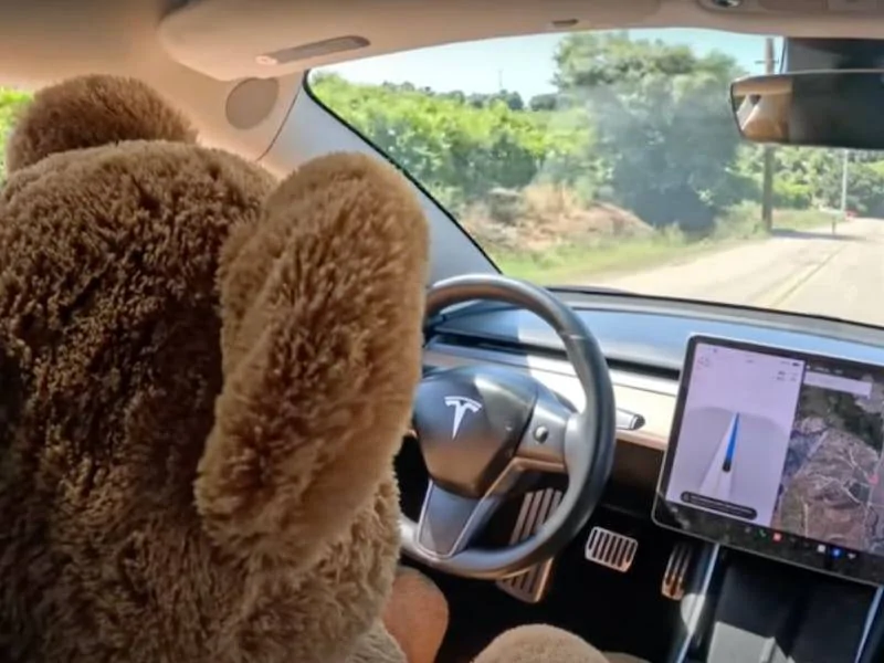 Ford Mustang Mach-E Tesla recalls 2 million vehicles over autopilot safety concerns fe5-968431548142-screenshot-2023-08-03-at-50538-pm