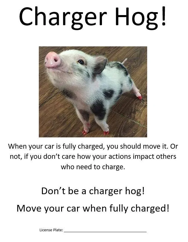 Ford Mustang Mach-E EV Etiquette HELP! 1703293723678