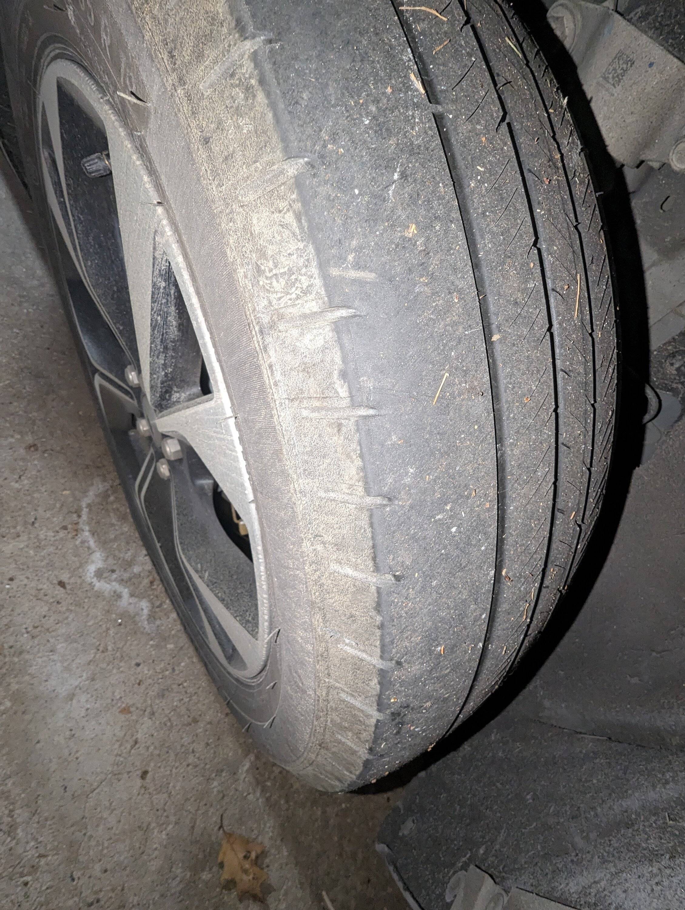 Ford Mustang Mach-E Problems with OEM Rear Tire Tread life after 9000 miles - Need replacement already! PXL_20240103_151523922 (1)