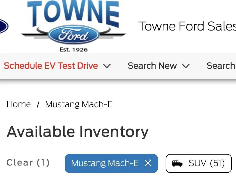 Ford Mustang Mach-E Remember When? Screenshot 2024-01-10 at 10.24.52 PM