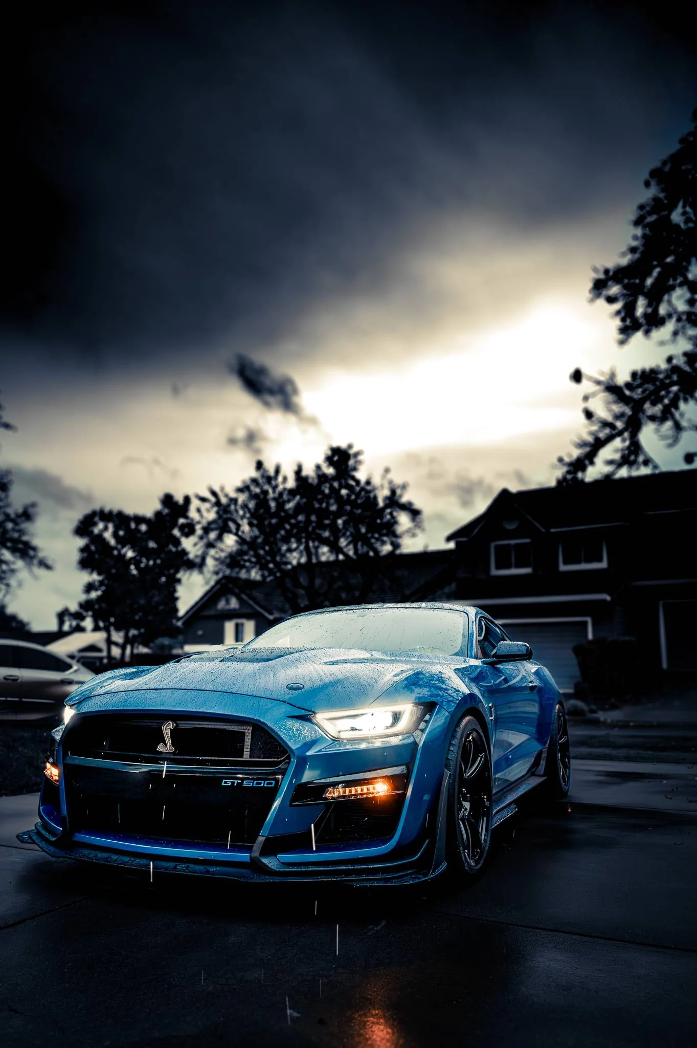 Ford Mustang Mach-E Deactivate double honk in Bay Area 20240120-3