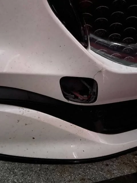 Ford Mustang Mach-E Hit a Deer Mach