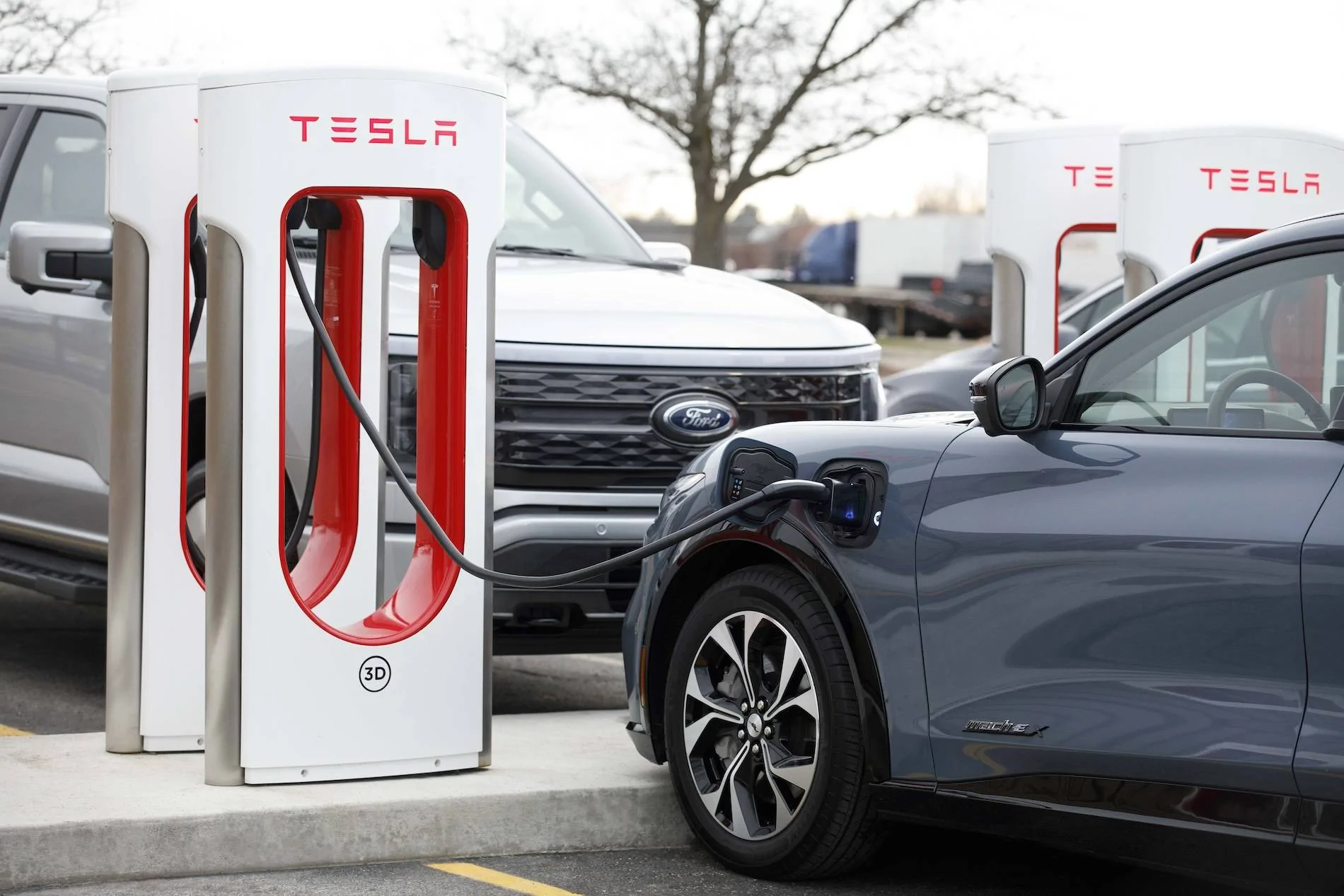 Fast Charging Adapter (NACS) 5.jpg