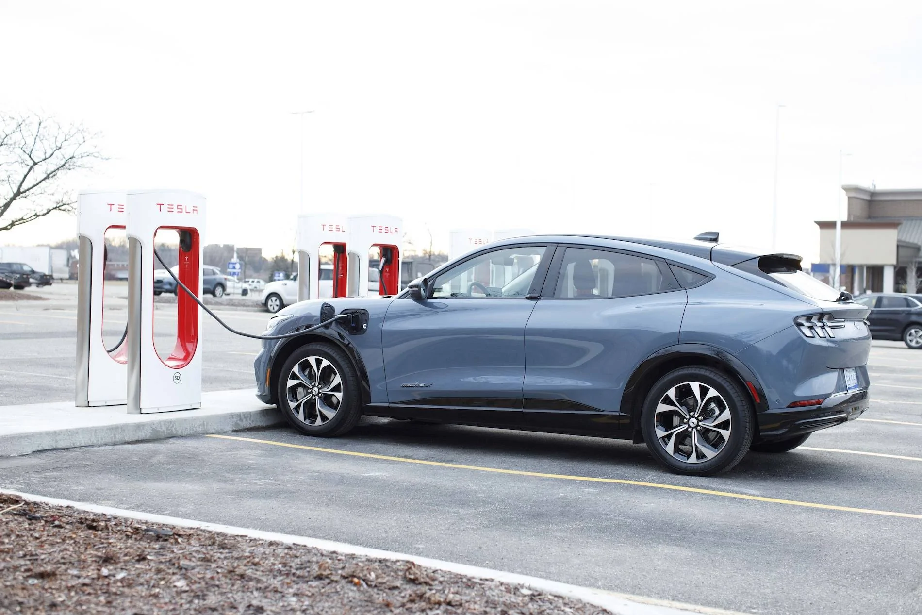 Fast Charging Adapter (NACS) 4.jpg