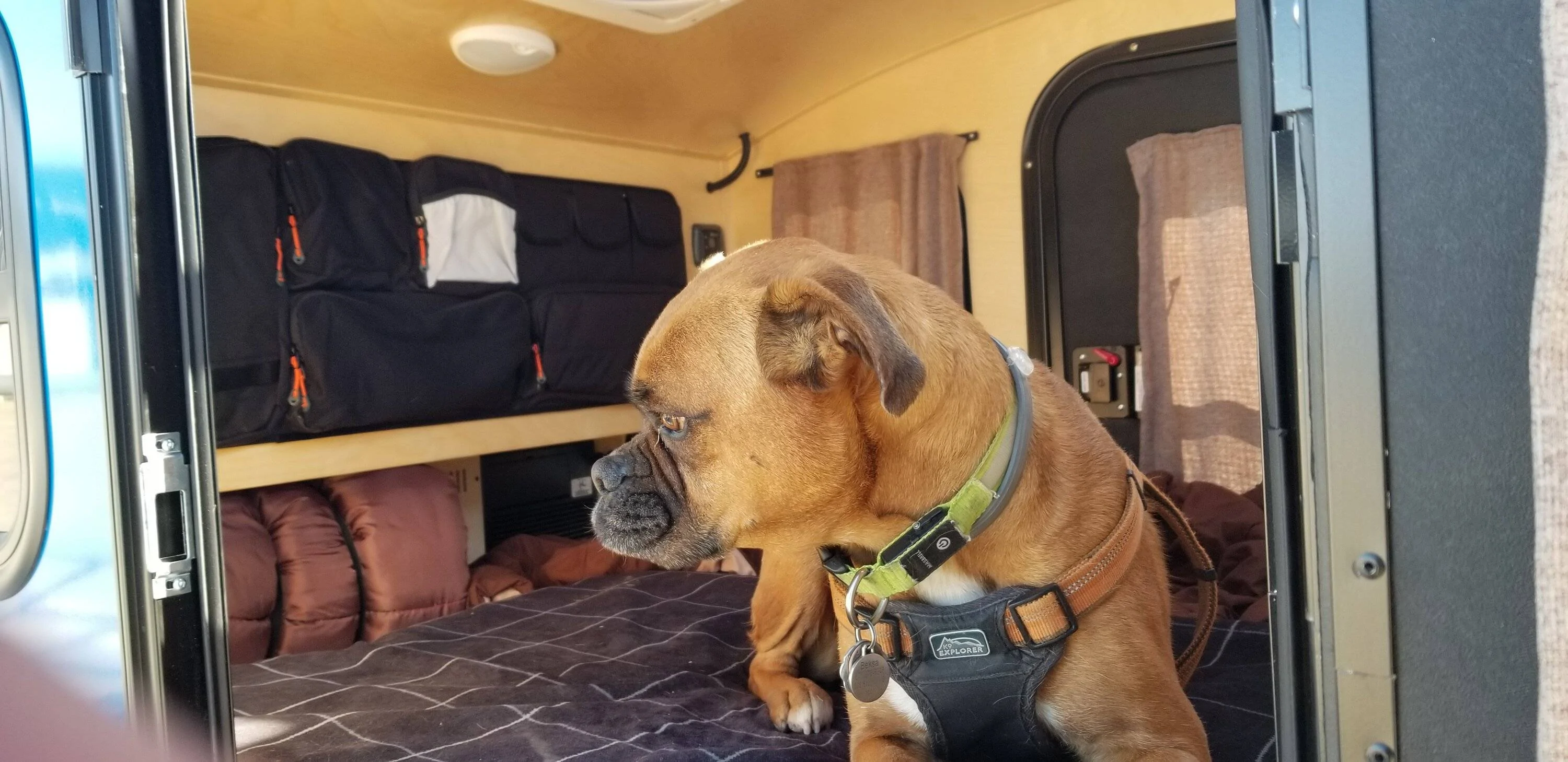 Ford Mustang Mach-E SPRING UPDATE - Towing a teardrop camper from Colorado to Virginia - 3,000 miles (through snow) in January 2024   :-D 20240116_123438