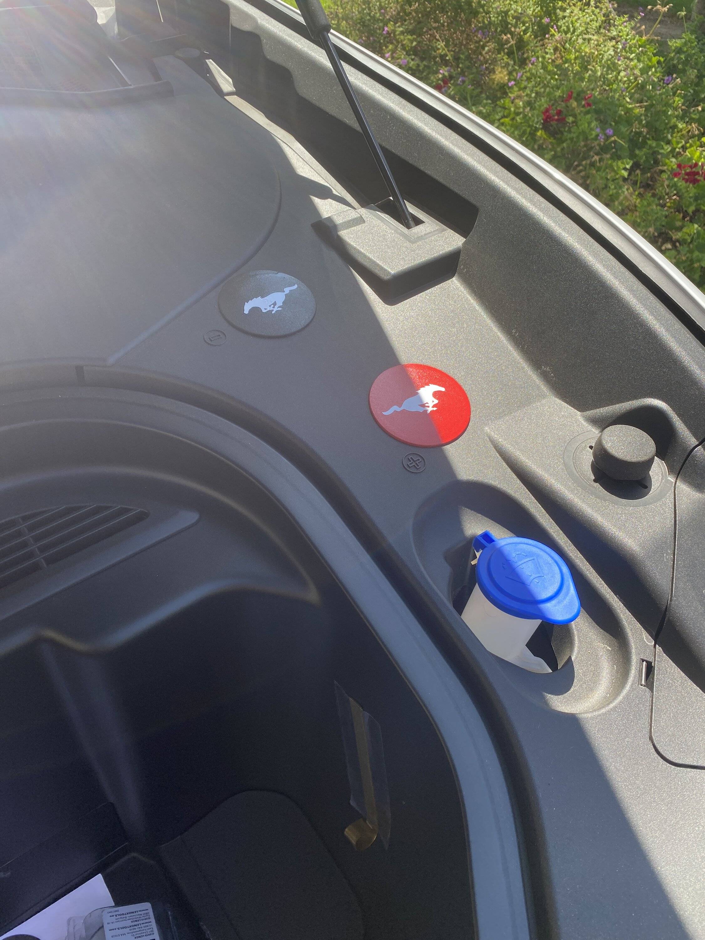 Ford Mustang Mach-E 12V Battery FAQ IMG_2059