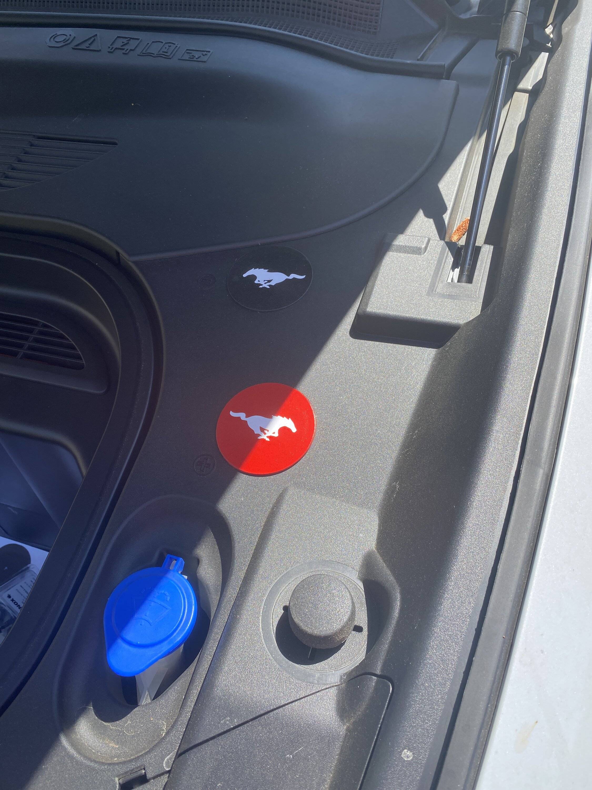Ford Mustang Mach-E 12V Battery FAQ IMG_2058