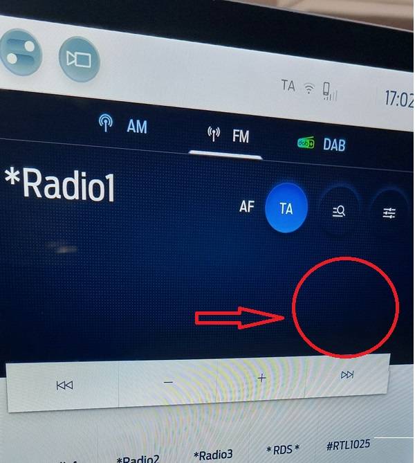 Ford Mustang Mach-E Radio icons disappeared radio