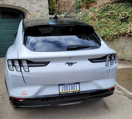Ford Mustang Mach-E Custom Vanity Plates - What's Yours? 1709733808766