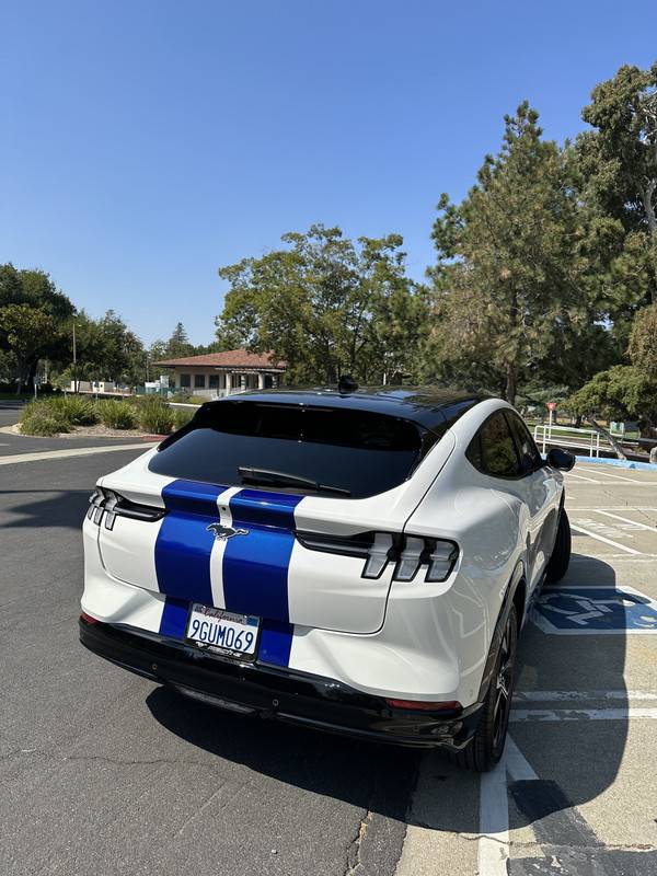 Ford Mustang Mach-E Opinion - thoughts on these stripes and grille IMG-2997