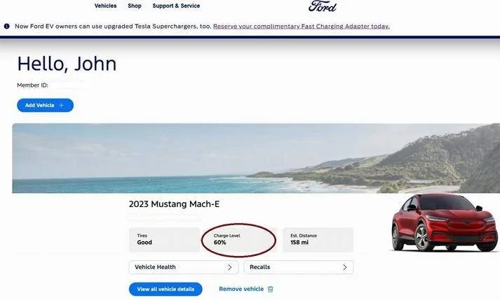 Ford Mustang Mach-E How To Get Failed OTAs To Install Screen shot 2