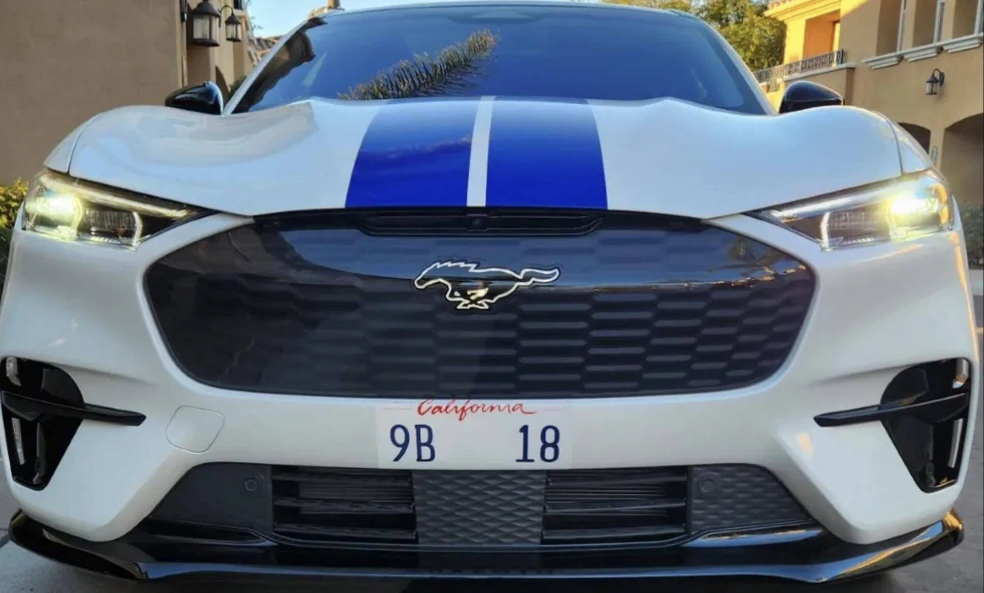 Ford Mustang Mach-E Stripes on the way! Screenshot 2024-03-19 at 4.58.10 PM