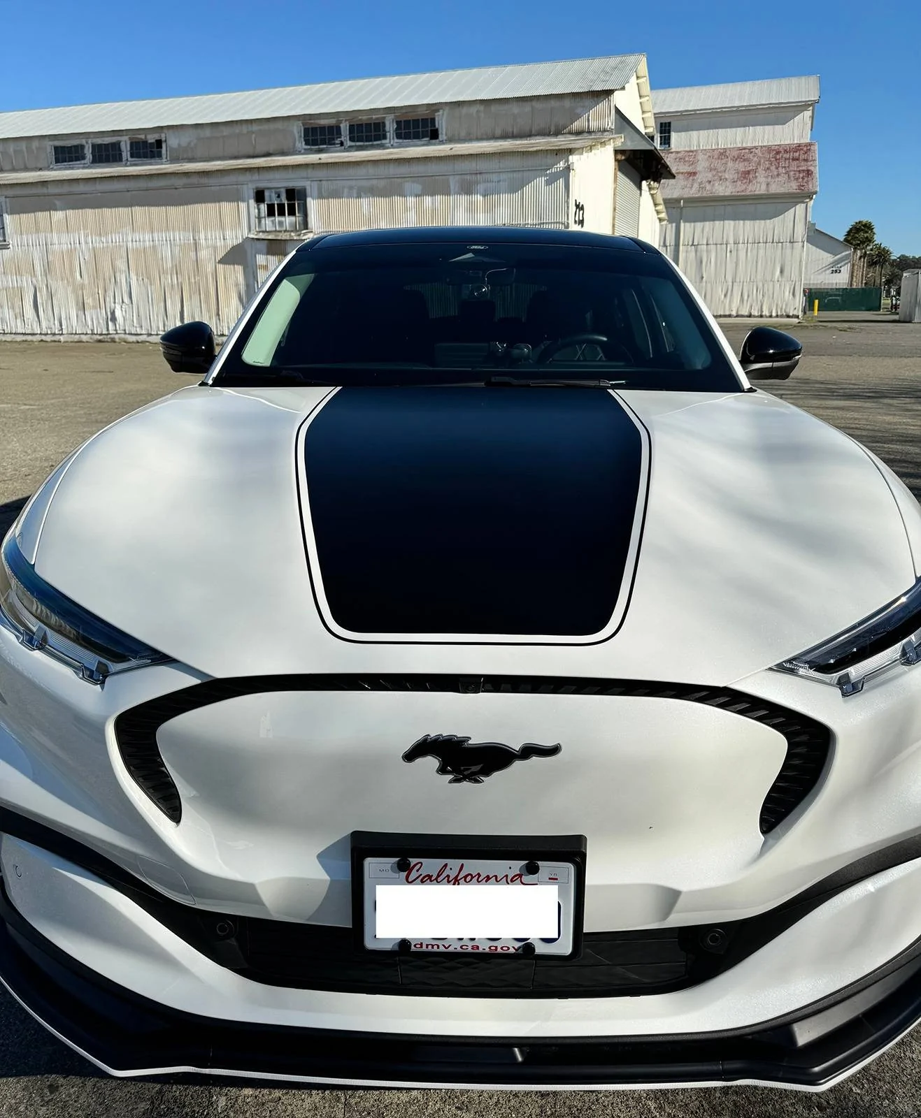 Ford Mustang Mach-E Random Mach-E Photos of the Day - Post Yours! 📸 🤳 IMG_1345