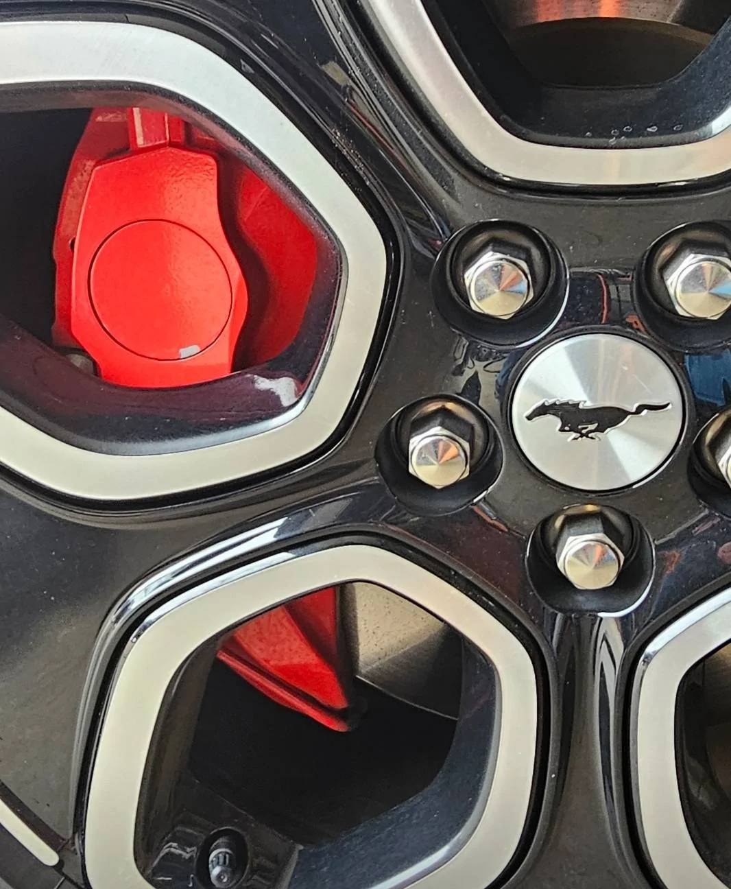 Ford Mustang Mach-E Paint for GT Calipers 1000008956