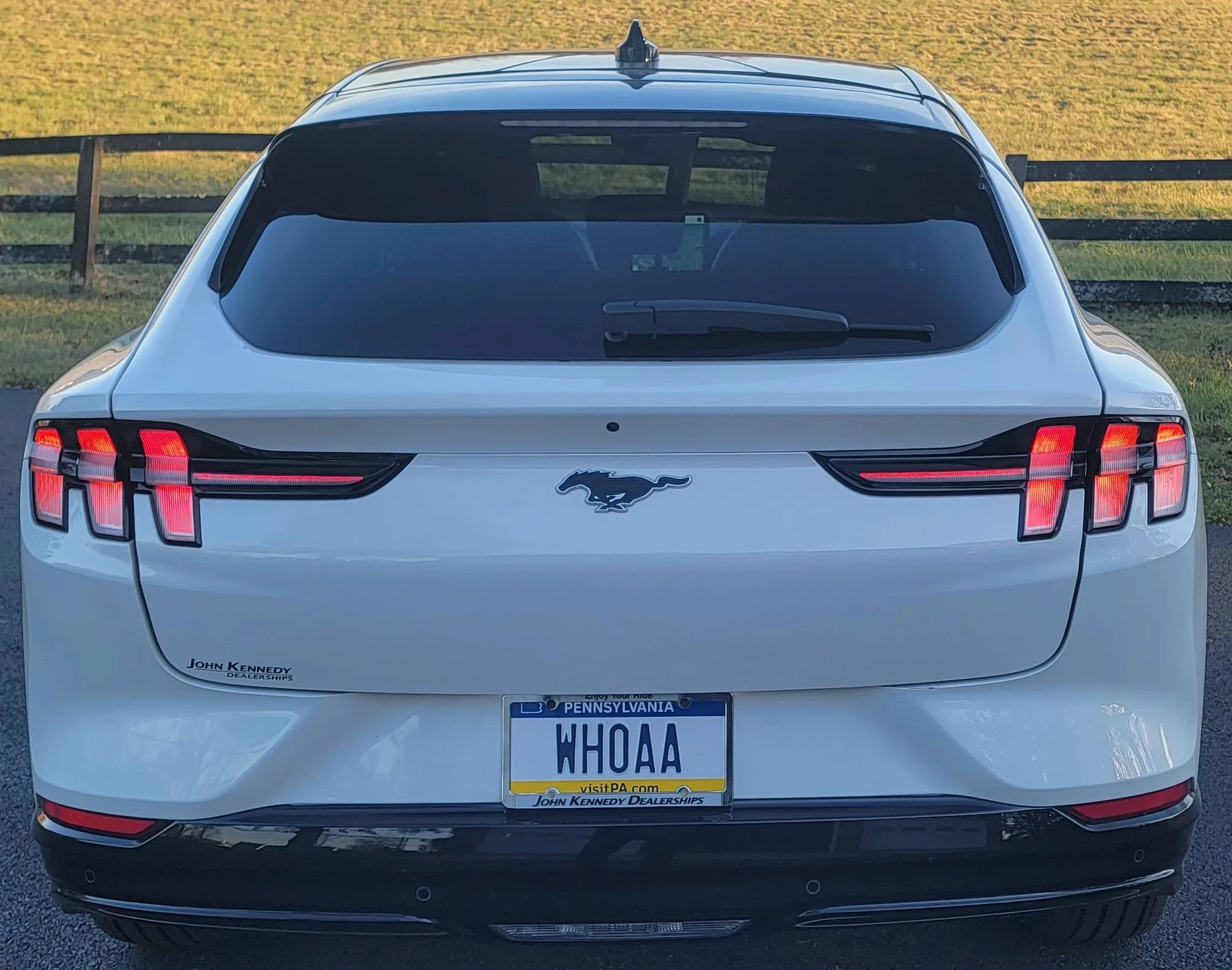 Ford Mustang Mach-E Custom Vanity Plates - What's Yours? 20231208_152704