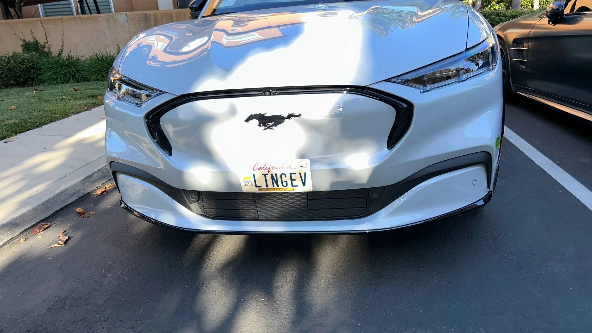 Ford Mustang Mach-E Custom Vanity Plates - What's Yours? IMG_0848