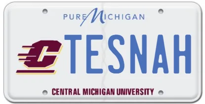 Ford Mustang Mach-E Custom license plate ideas TESNAH