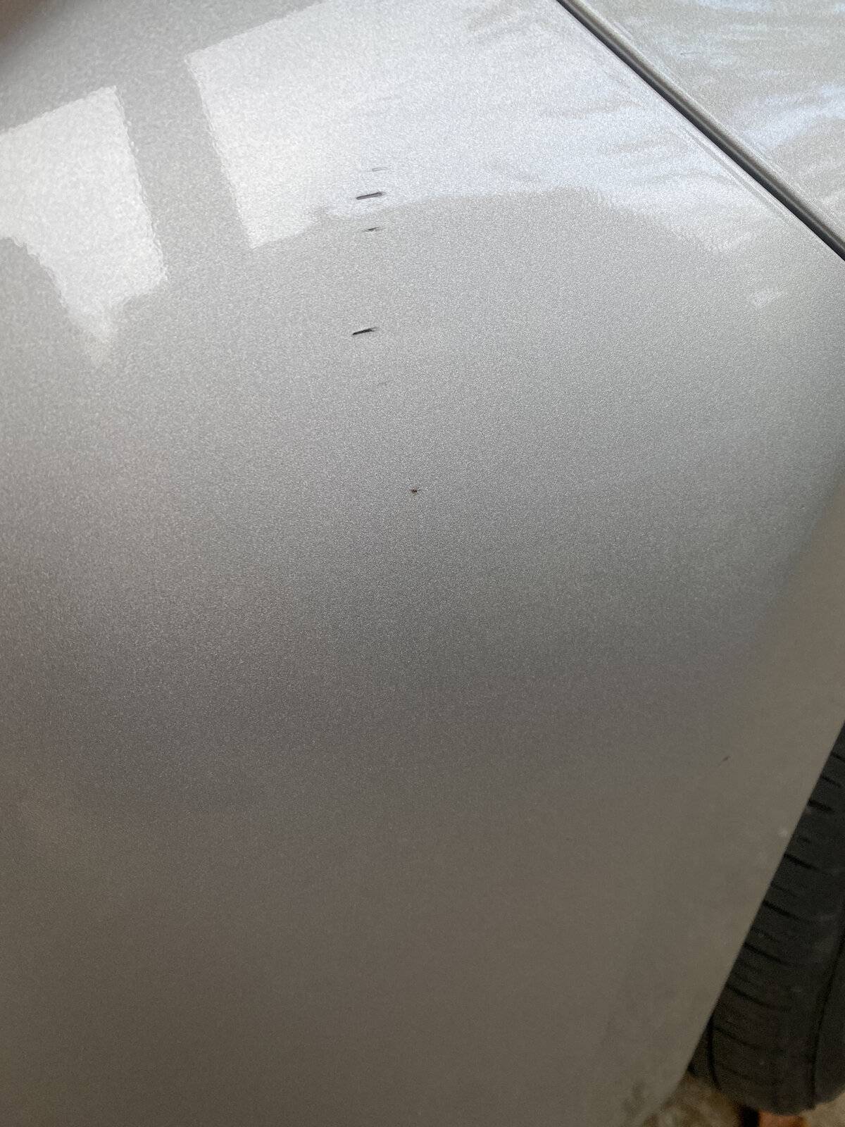 Ford Mustang Mach-E Paint Protection Film (PPF) such as XPEL for Mach-E IMG_6112