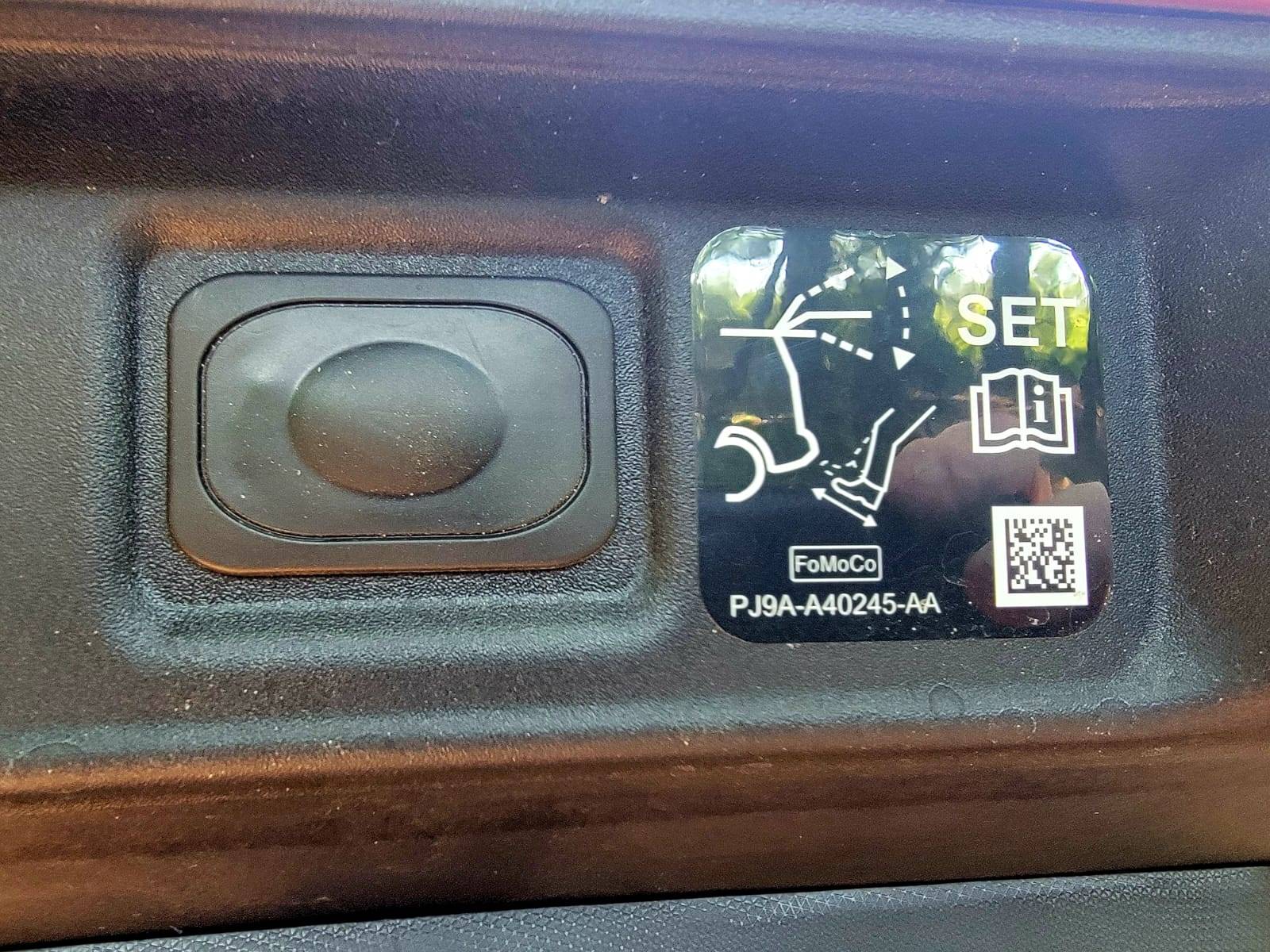 Ford Mustang Mach-E What does this mean??? 1713117966854-h7