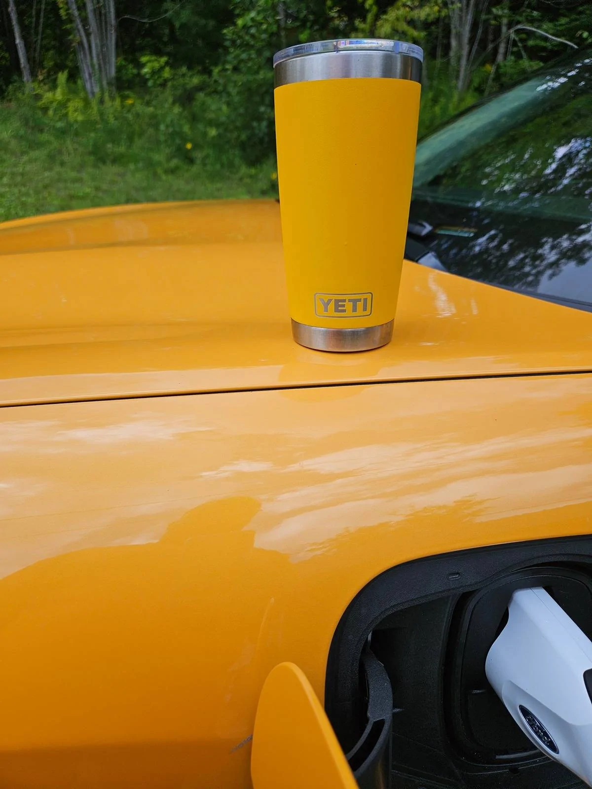 Ford Mustang Mach-E Random Mach-E Photos of the Day - Post Yours! 📸 🤳 20230813_123039