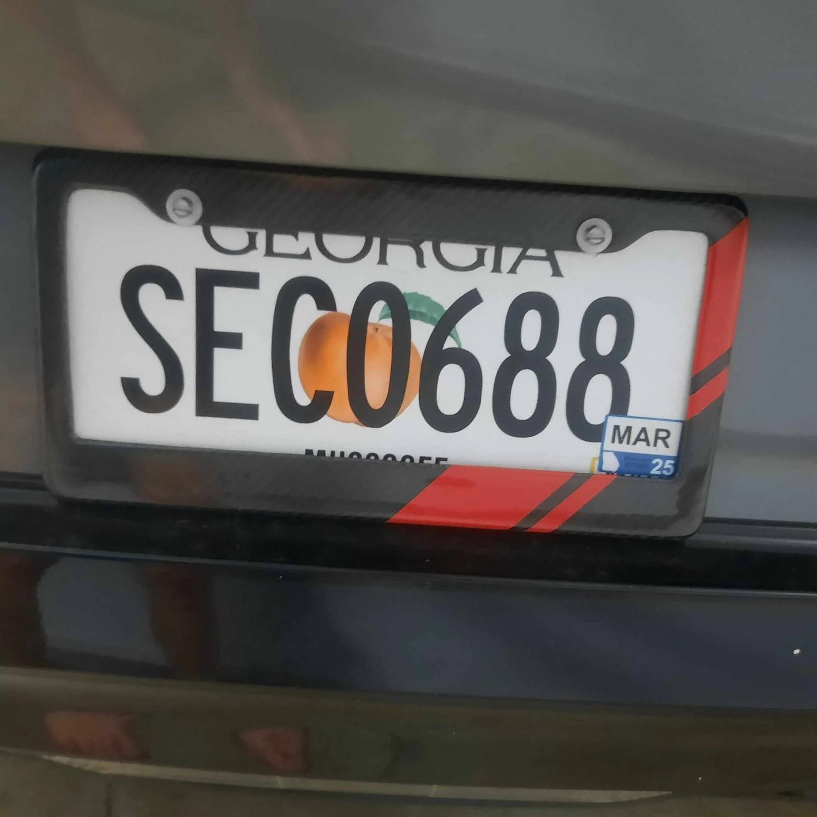 Ford Mustang Mach-E Rear license plate holder recommendations? license plat