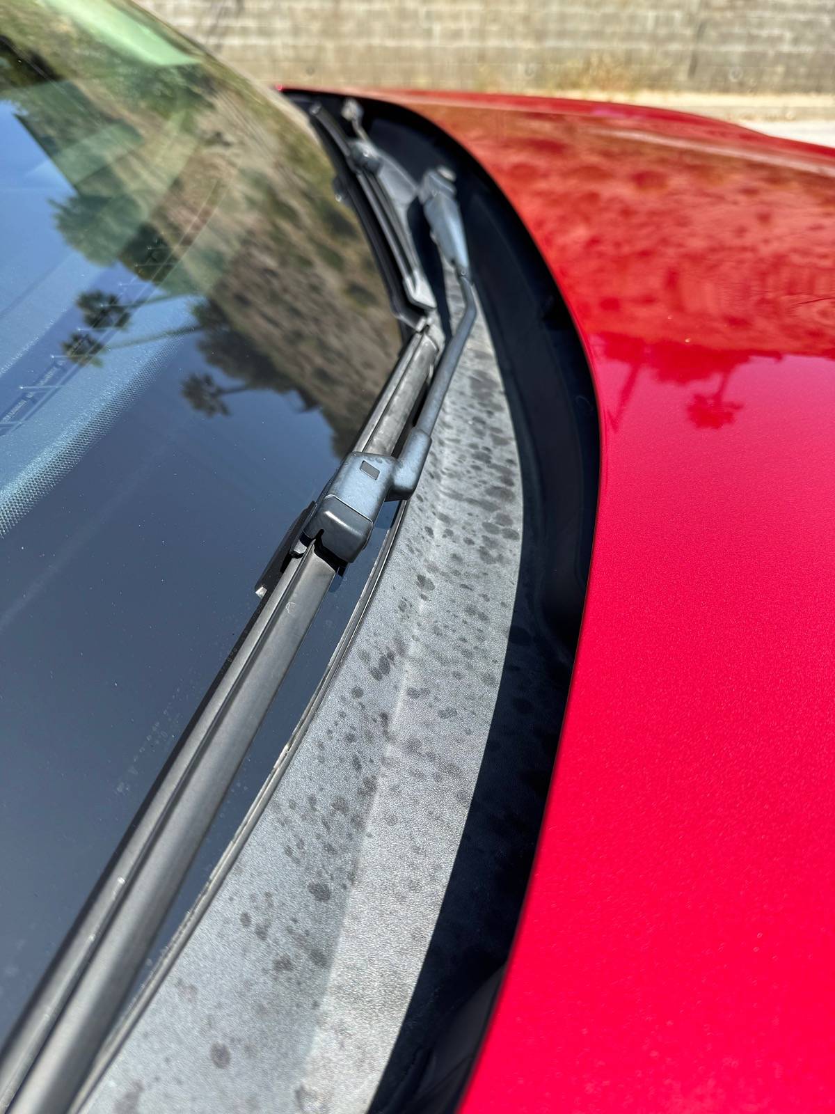 Ford Mustang Mach-E How to remove tree sap stains from plastic trim IMG_2405