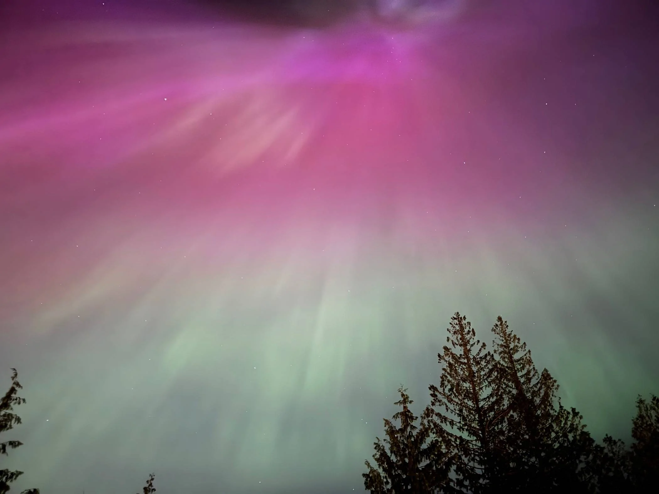 Ford Mustang Mach-E Out at the Aurora Borealis w/ Mach-E! Post Yours IMG_5364